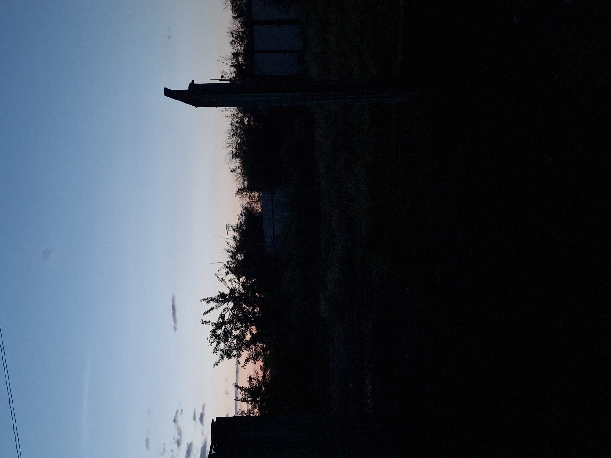 The image depicts a dimly lit outdoor scene, possibly at dusk or dawn, in what is identified as the city of Kursavka, Russia. The sky is a gradient of deep blue at the top, fading to a lighter blue and hints of pink near the horizon, indicating a transition between day and night. Several scattered clouds are visible against the sky.
In the foreground, a dark, silhouetted fence or structure is on the left, and a tall, weathered post with an angular top stands to the right of center. The middle ground is filled with dark silhouettes of trees and vegetation, obscuring any details of the ground or structures behind them. A fence runs across the middle ground, partially visible behind the trees. The overall impression is one of an overgrown or undeveloped area. There are no people visible in the image, and no actions or interactions are depicted. The lighting conditions suggest low light, making details indistinct.