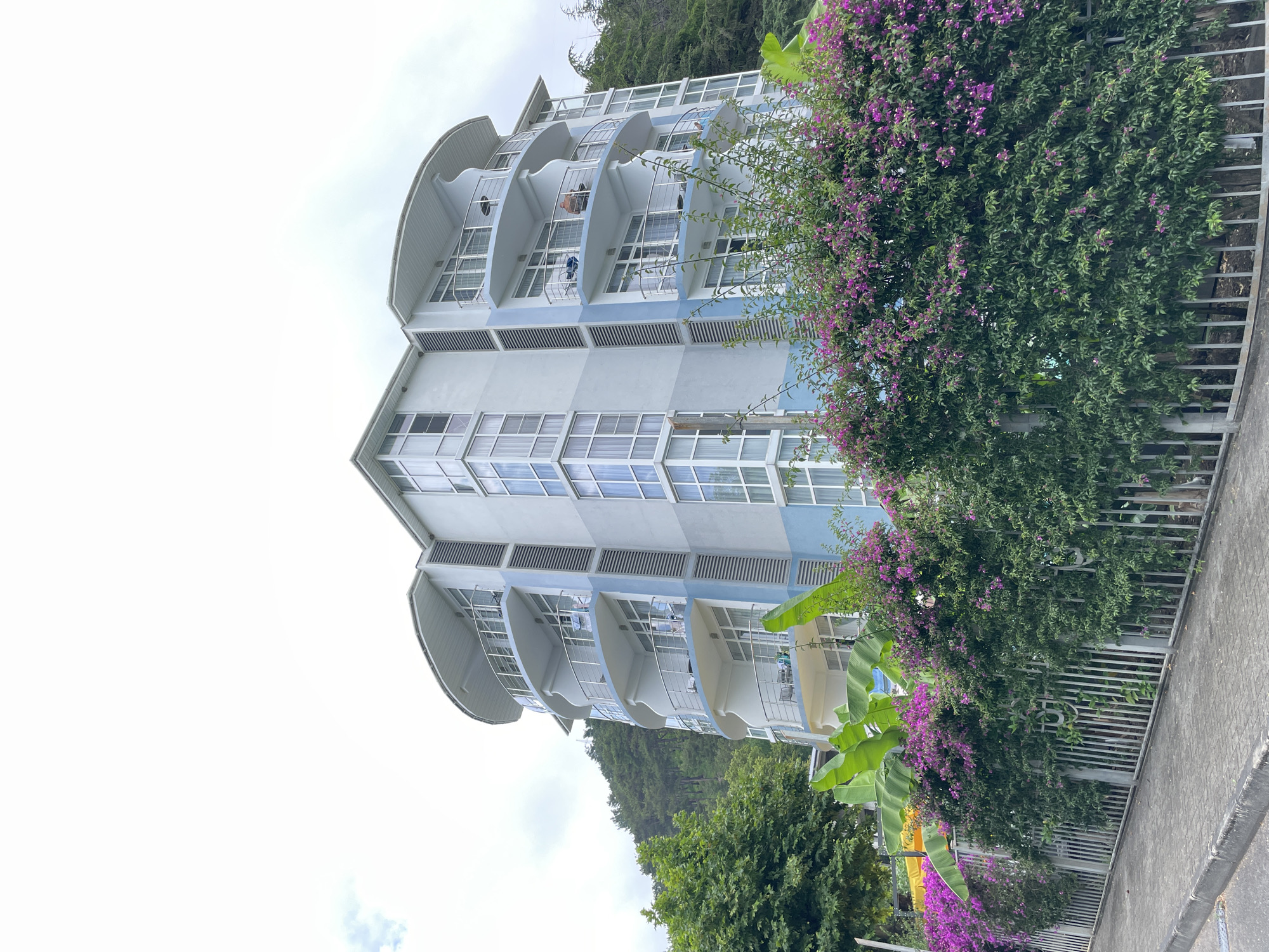 In Abaata, Abkhazia, a light blue and white multi-story building with rounded balconies is seen from a slightly low angle. The building features numerous windows and is adorned with horizontal light blue accents. Green trees and lush, vibrant purple flowering bushes are in the foreground, with a gray metal fence separating the foliage from a paved walkway. The sky above is overcast.