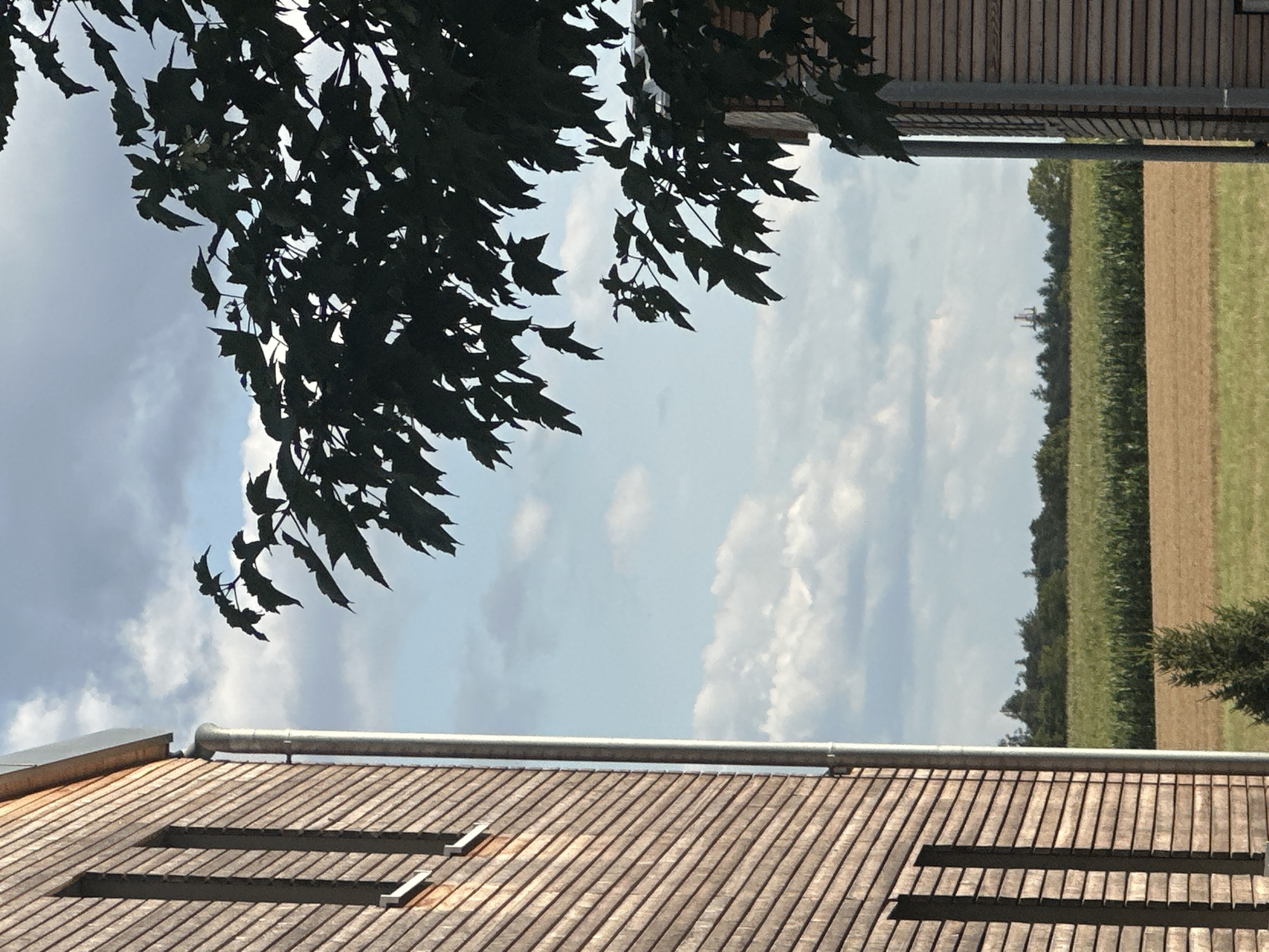 The image depicts an outdoor scene viewed from a slightly elevated perspective, looking upwards and outwards. In the foreground, the sloped, wooden shingle roof of a building is prominently featured. Two rectangular skylights with metal edging are visible on the roof, along with a section of guttering and a downpipe. The roof appears to be well-maintained.
Dominating the upper left portion of the frame are the dark silhouettes of tree branches and leaves, suggesting a tree is positioned close to the viewer. These leaves are backlit, creating a dramatic contrast against the sky.
The sky itself is a mix of blue and white, with scattered clouds. Some clouds are dense and grey, indicating potential for rain, while others are wispy and white, suggesting a partly cloudy day.
Beyond the foreground elements, a rural landscape unfolds. A strip of dark green trees forms a line, likely marking the edge of a field. Beyond these trees, a large agricultural field is visible, divided into sections of different colors, possibly representing different crops or stages of growth. The field has a distinctly European look, consistent with the given location context of Günzburg, Germany.
In the far distance, a small, light-colored structure with an unusual, possibly industrial, shape can be faintly seen rising above the tree line. The overall impression is one of a peaceful, rural setting on a day with variable cloud cover. There is no visible text in the image. The lighting suggests it is daytime, likely late morning or afternoon.