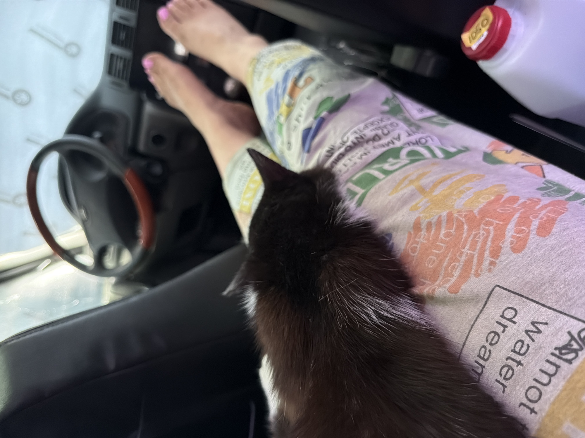 A black and white kitten is lying on a person's lap in the driver's seat of a car. The person is wearing patterned pajamas, and their bare feet with pink nail polish are visible on the dashboard. A steering wheel is to the left of the person's lap, and a white bottle with a red cap sits on the dashboard to the right of the person's lap. It is not possible to determine the location of the photo with the information available.