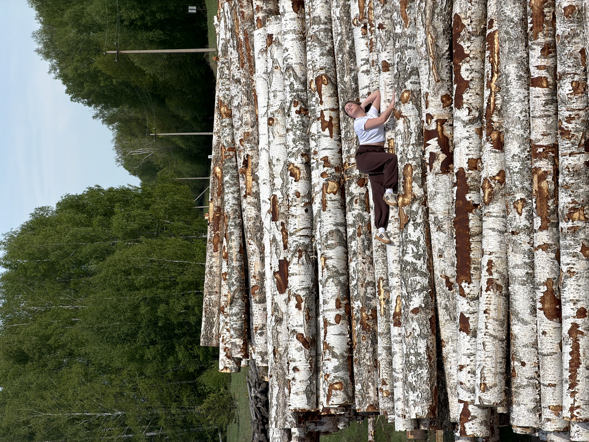 The image depicts a young woman lying on a stack of birch logs in a rural setting. The woman is wearing a white t-shirt, brown sweatpants, and tennis shoes. She is positioned lengthwise along the logs, with her head resting on her arm.
The logs are stacked high and appear to be recently cut, based on their clean, white bark. The background shows a forest landscape with green trees and a clear sky.
Based on the location provided, the scene is likely located in or near Ural'skoe, Russia.