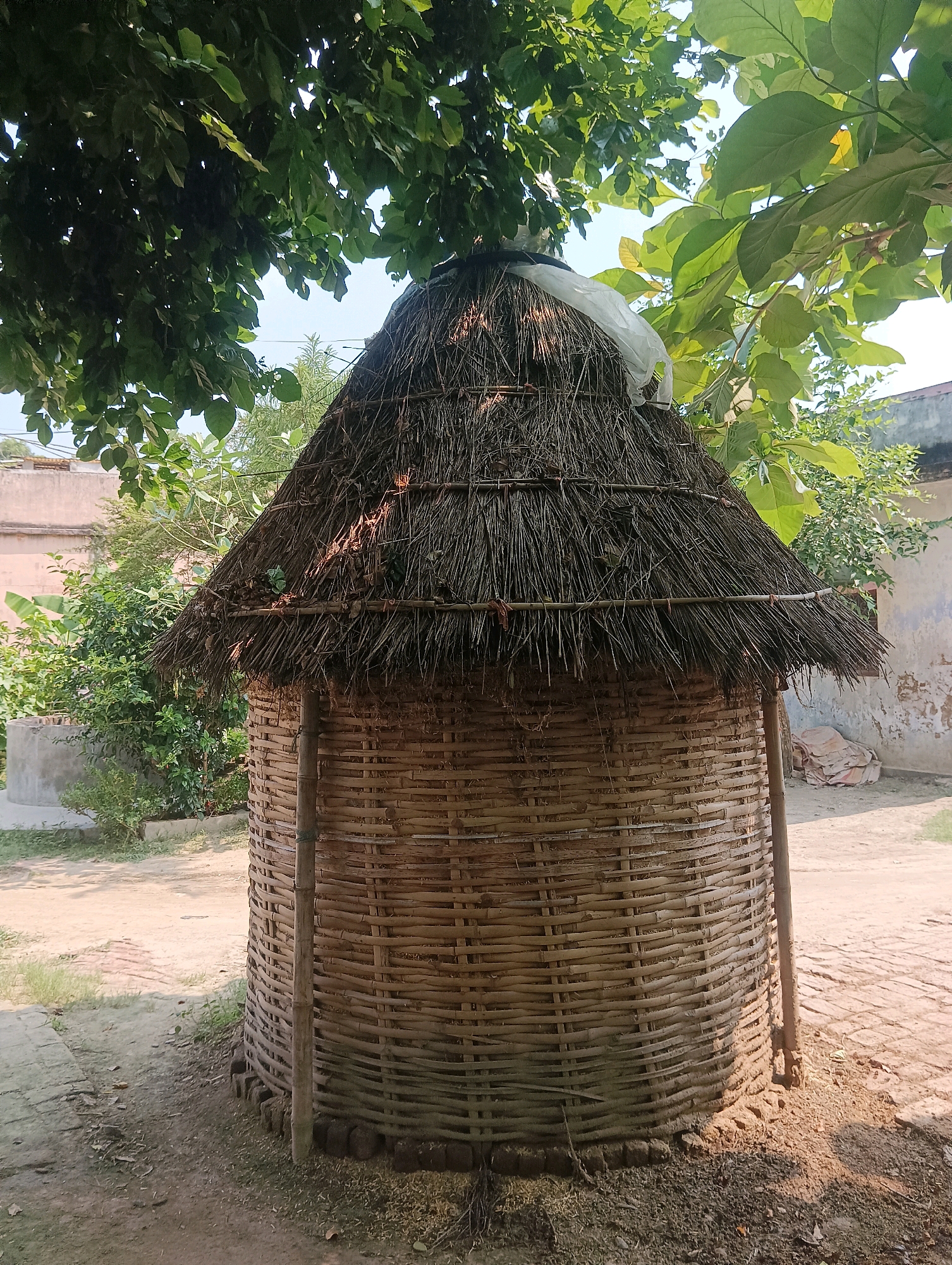 In Dakhin Parsa, India, a round, woven bamboo structure with a thatched roof stands outdoors, partially shaded by leafy green trees. The structure, which appears to be a grain storage bin, is approximately waist-high and has a conical roof covered in dry straw. A white plastic sheet is draped over the top of the thatched roof. The bin is supported by four vertical wooden poles. The ground around the structure is a mix of dirt, scattered dry leaves, and some brick paving. In the background, a simple concrete well is visible to the left, and a building with faded paint is situated to the right. The scene suggests a rural or village setting with agricultural elements.