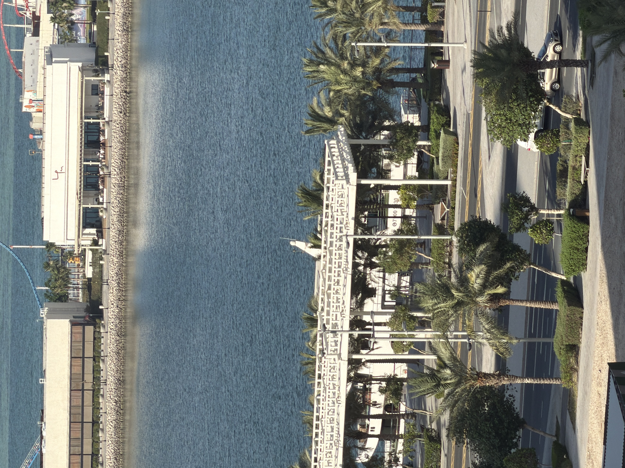The image displays an elevated view of a coastal urban environment, bisected by a body of blue-green water under natural daylight.
In the background, across the water, a landmass supports two light-colored, modern buildings. The building on the left is a multi-story structure with a flat roof and a facade featuring horizontal sections of dark-tinted panels or windows. To its right, a white building, identified as a restaurant by its open-air dining area and a stylized red "LM" logo on its facade, contains numerous patrons seated at tables. Behind these structures, elements of red and blue roller coaster tracks are visible, indicating an amusement facility. A paved promenade and a rock-lined seawall delineate the waterfront on this distant landmass.
The central portion of the image is occupied by a wide expanse of relatively calm, blue-green water, exhibiting minor surface ripples.
In the foreground, a paved waterfront promenade is present, partially shaded by a white, ornate trellis-like overhead structure supported by multiple columns. Beneath this structure, a large white vessel or boat-shaped building is docked or permanently situated, displaying text including "0700 30" and "APLU". The area is extensively landscaped with numerous palm trees of various heights, smaller deciduous trees, and manicured hedges. Inland from the promenade, a multi-lane asphalt road with yellow and white markings runs parallel to the waterfront. A silver SUV is partially visible on the road, and a gold-colored sedan is observed moving on the roadway. Streetlights with multiple arms are positioned along both the road and the promenade. Benches and waste receptacles are also present within the landscaped areas. No individuals are distinctly visible on the immediate foreground promenade or road, though diners are present at the restaurant across the water.