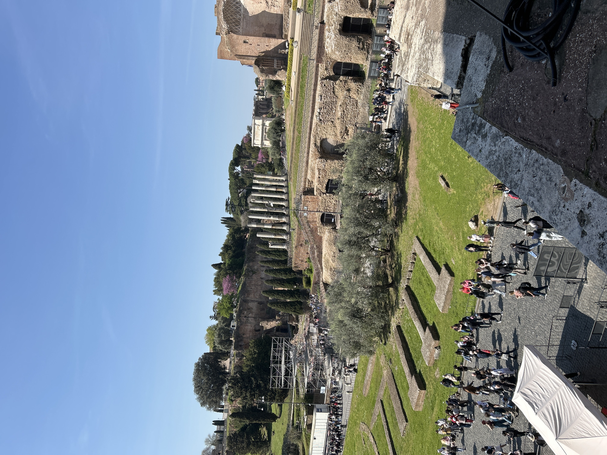 This overhead image depicts a panoramic view of the Roman Forum and surrounding archaeological sites, including parts of the Palatine Hill, in Rome, Italy, under a clear blue sky.
In the foreground, a large crowd of people, primarily tourists, move across cobblestone pathways and grassy areas interspersed with exposed ancient stone foundations. To the lower left, a white canopy tent is erected on the cobblestones. To the lower right, a concrete ledge, possibly a viewing platform, features a coiled black hose. The mid-ground showcases extensive Roman ruins constructed from brick and stone, featuring arched openings and fragmented walls. Several ancient columns stand prominently towards the center-right. A large metal scaffolding structure is visible in the mid-left, adjacent to a long queue of people and a white rectangular trailer. Olive trees are clustered in the central mid-ground.
The background reveals the lush, green Palatine Hill rising behind the ruins, dotted with various trees, including tall cypress-like trees and deciduous trees, some displaying spring foliage and pink blossoms. Further in the distance, more substantial ancient structures, including the remnants of a large brick building (likely the Basilica of Maxentius and Constantine) and a visible archway (likely the Arch of Titus), can be identified. Numerous individuals are scattered throughout the entire visible area, walking, queuing, and observing the historical landscape. The scene is brightly illuminated by direct sunlight.