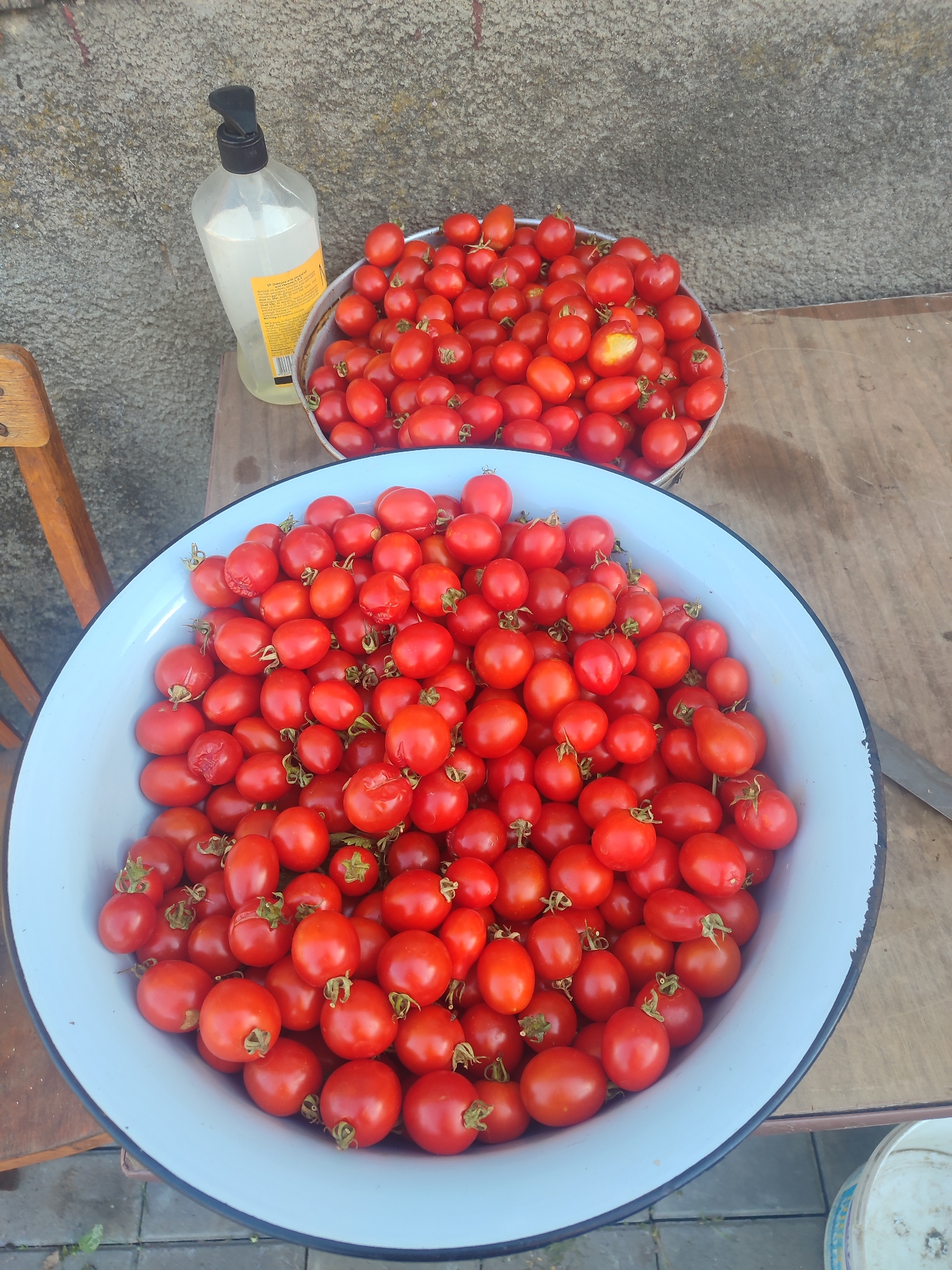 A shallow, light blue enameled metal bowl, brimming with ripe red cherry tomatoes, is positioned on a weathered wooden table. To the left of the bowl, a clear plastic bottle with a black pump dispenser, containing a pale yellow liquid, stands next to a small metal basin also filled with cherry tomatoes. The scene is set against a rough, grey concrete wall. A wooden chair with a woven seat is visible to the far left, and a portion of a knife handle can be seen on the right edge of the table. The ground beneath the table appears to be paved with grey interlocking bricks. The overall impression is of a home harvest being prepared. The location is specified as Novosamarka, Ukraine.