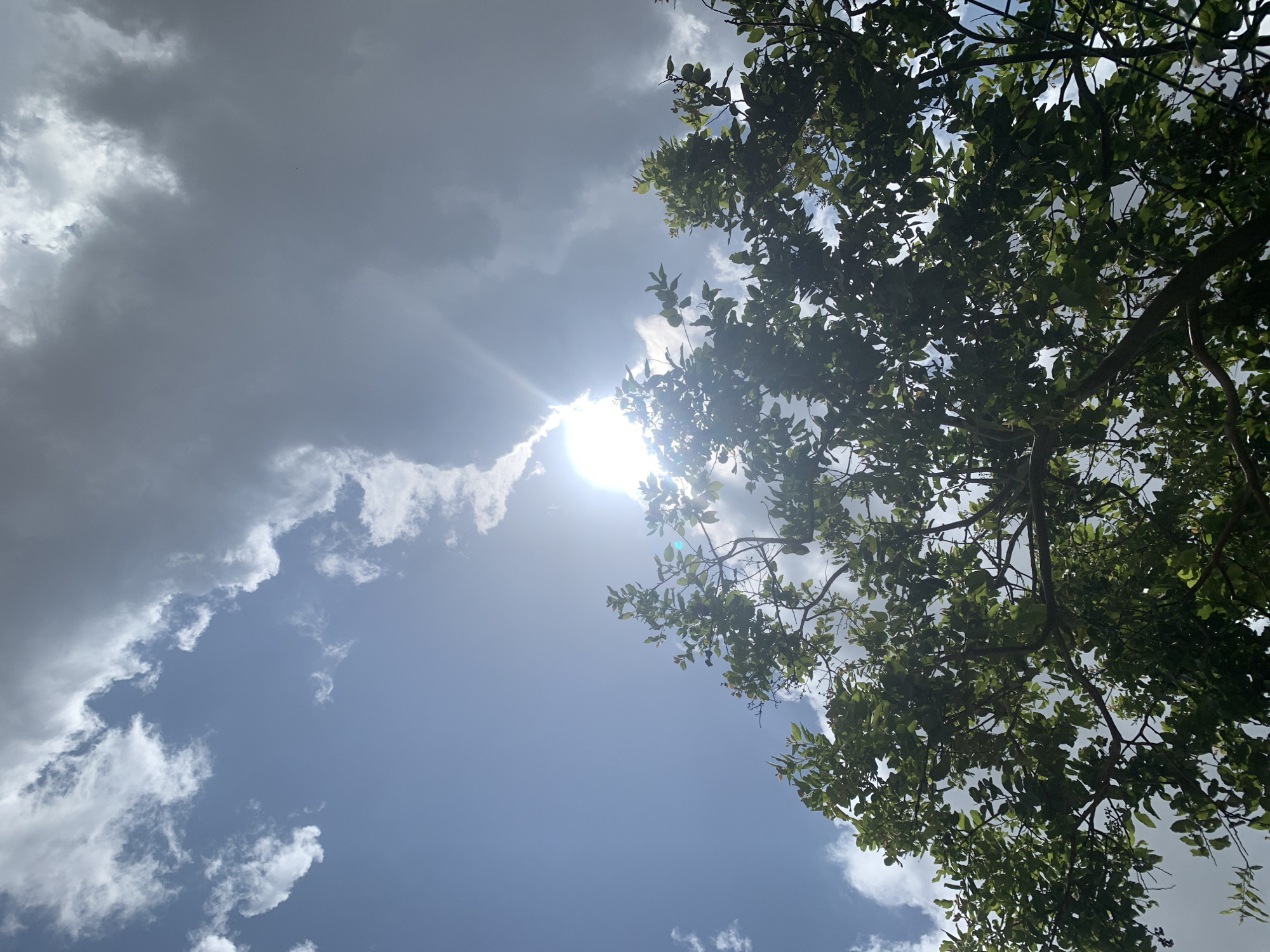 An upward-facing shot captures a canopy of green leaves from a tree on the left, against a backdrop of a bright blue sky partially obscured by a mix of fluffy white and dark gray clouds. The sun is a brilliant, hazy orb near the center-right of the frame, casting rays of light through the clouds and creating lens flare. The foliage is dense, with branches and leaves filling the left portion of the image. The scene appears to be an outdoor environment, likely in Kuru Karama, Nigeria, given the lighting and cloud formations typical of the region.