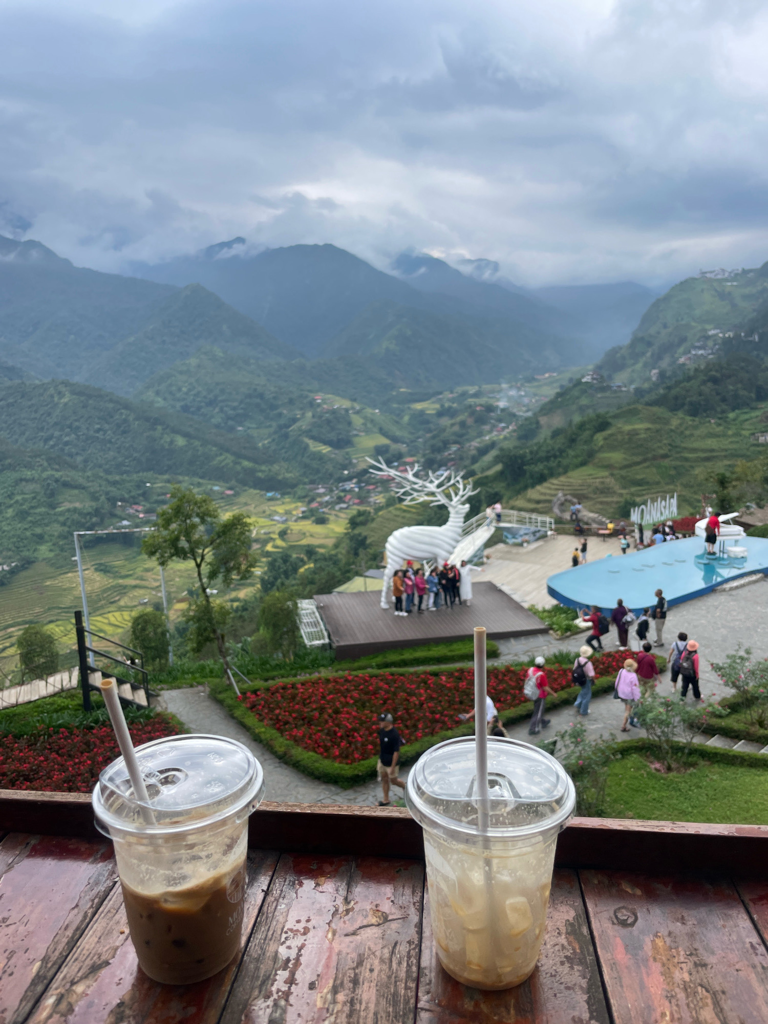 The image captures a scenic view from a cafe overlooking the terraced hills of Sa Pa Ward, Vietnam. In the foreground, two plastic cups with straws sit on a rustic wooden table. One cup contains a brown beverage, likely iced coffee, while the other holds a lighter-colored drink with ice.
Beyond the table, a vibrant bed of red flowers borders a pathway. Further in the background, a large white sculpture of a reindeer stands on a wooden platform, with a group of people posing for a photo in front of it. Adjacent to the reindeer sculpture is a blue swimming pool with a white piano structure. Several tourists are scattered around this area, some walking and others gathered near the pool.
The landscape behind them features the iconic green terraced rice fields characteristic of Sa Pa, nestled within rolling, mist-shrouded mountains. The sky is overcast with dramatic clouds, adding to the atmospheric quality of the scene. The location is identified as "MOANASAPA" visible on a sign near the pool.