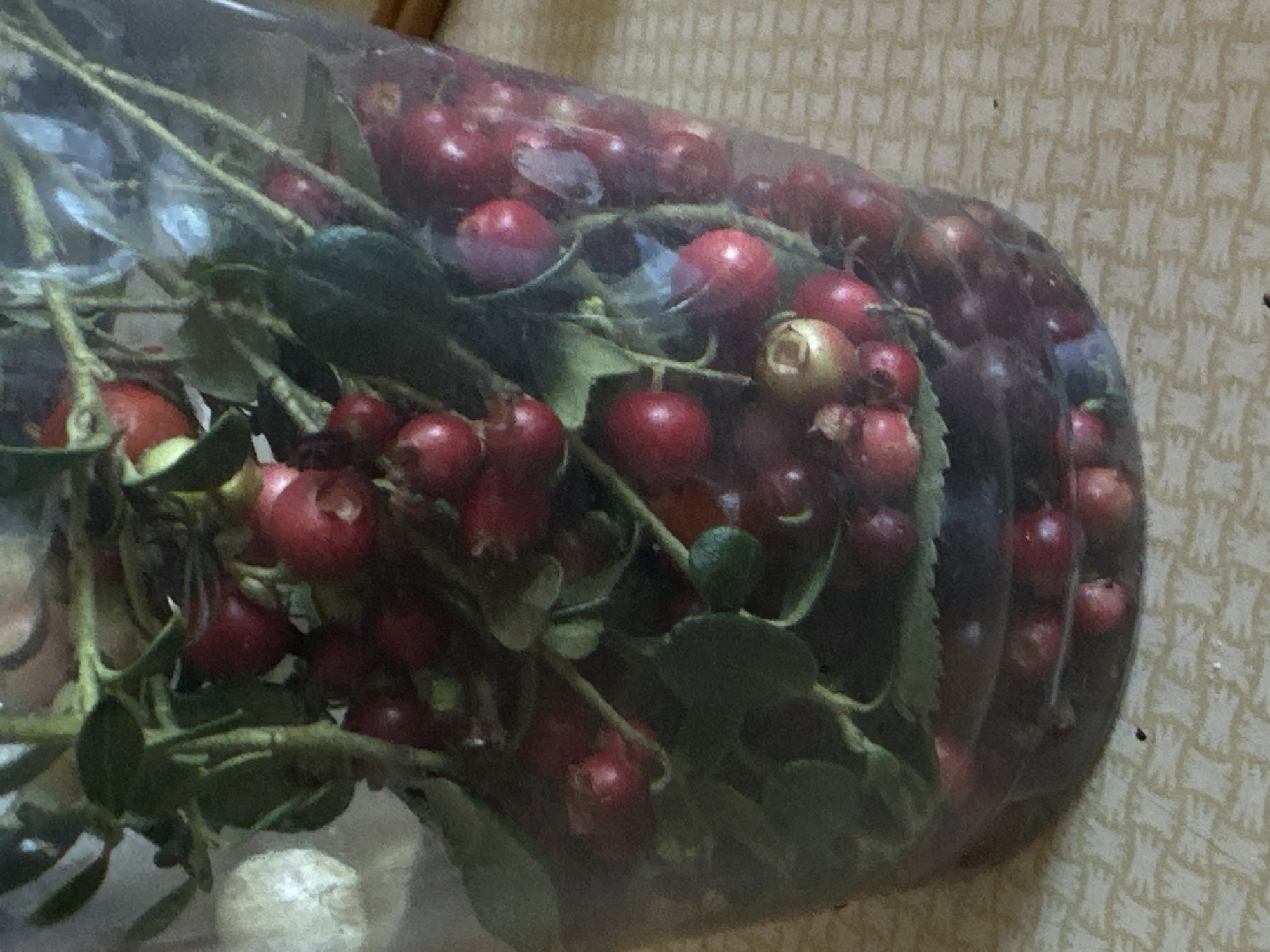 The image shows a clear plastic container filled with red berries on branches, some with green leaves. The container is placed on a surface with a woven pattern, possibly a tablecloth or placemat, which is light yellow or beige in color. The background is blurred, but appears to be an indoor setting. The lighting suggests it is daytime. There are no people visible in the image, and no specific location in Biysk, Russia, can be identified from the visual information provided.