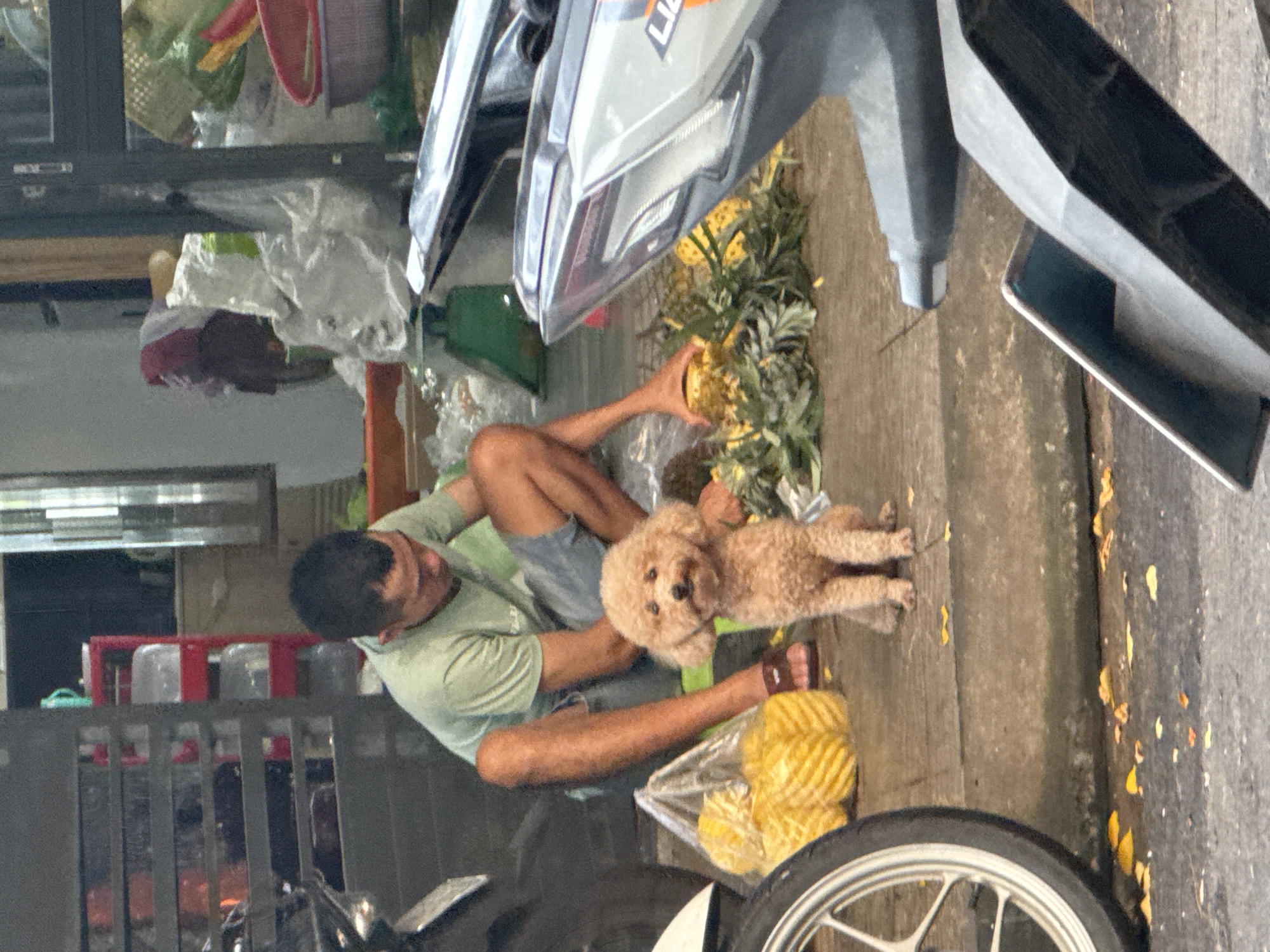 The image captures a scene on a street in the city of Đà Nẵng, Vietnam. A man sits cross-legged on the sidewalk, peeling pineapples. A small, tan-colored poodle sits nearby, looking towards the camera. A motorbike is parked partially on the sidewalk, positioned near the man and the dog. The sidewalk is made of concrete. Some peeled pineapples are in a plastic bag.
