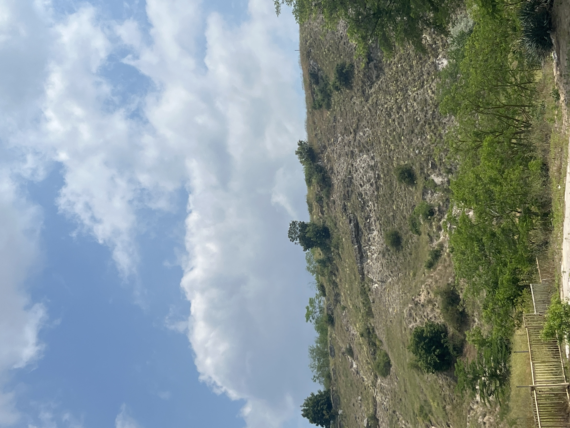 The image displays a natural landscape under a partly cloudy, blue sky. The scene is dominated by a steep hillside or cliff covered in rocky terrain and sparse vegetation, primarily dry grasses and small, scattered green bushes and trees. The sky, visible on the left side of the image, features bright white cumulus clouds against a clear blue background, indicating daytime with good sunlight.
In the midground and foreground on the right, a denser growth of green trees and foliage is present, appearing more verdant than the vegetation higher up the slope. A light-colored, possibly metal, fence or railing is visible in the lower right corner, suggesting a boundary or a pathway alongside the natural feature. The ground immediately adjacent to the fence appears to be a flatter, grassy or dirt strip.
No people or animals are visible, and no specific activity is taking place; the image captures a static natural view. The bright lighting suggests it is late morning or early afternoon. The rocky, sparsely vegetated hill, coupled with the lush patches of trees, evokes a Mediterranean or continental climate characteristic of regions like Beloslav, Bulgaria, possibly depicting a natural formation or the edge of a quarry area. There is no visible text in the image.