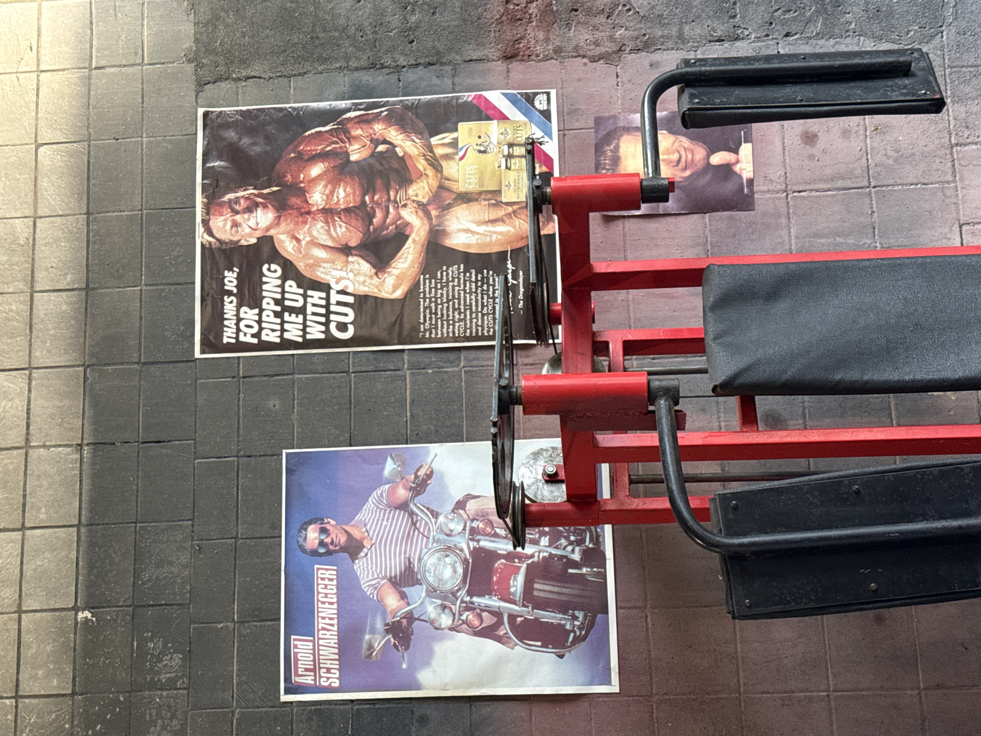 In the city of Vnukovo, Russia, a weightlifting machine with red and black components is positioned in front of a tiled wall. On the wall, two posters are displayed. The left poster features Arnold Schwarzenegger on a motorcycle, with the text "Arnold SCHWARZENEGGER" visible. The right poster shows a muscular bodybuilder with the text "THANKS JOE, FOR RIPPING ME UP WITH CUTS!". Below the bodybuilder's image, smaller text and product images are also present. A smaller, detached photograph of a man giving a thumbs-up is also visible on the wall to the right of the weightlifting machine.