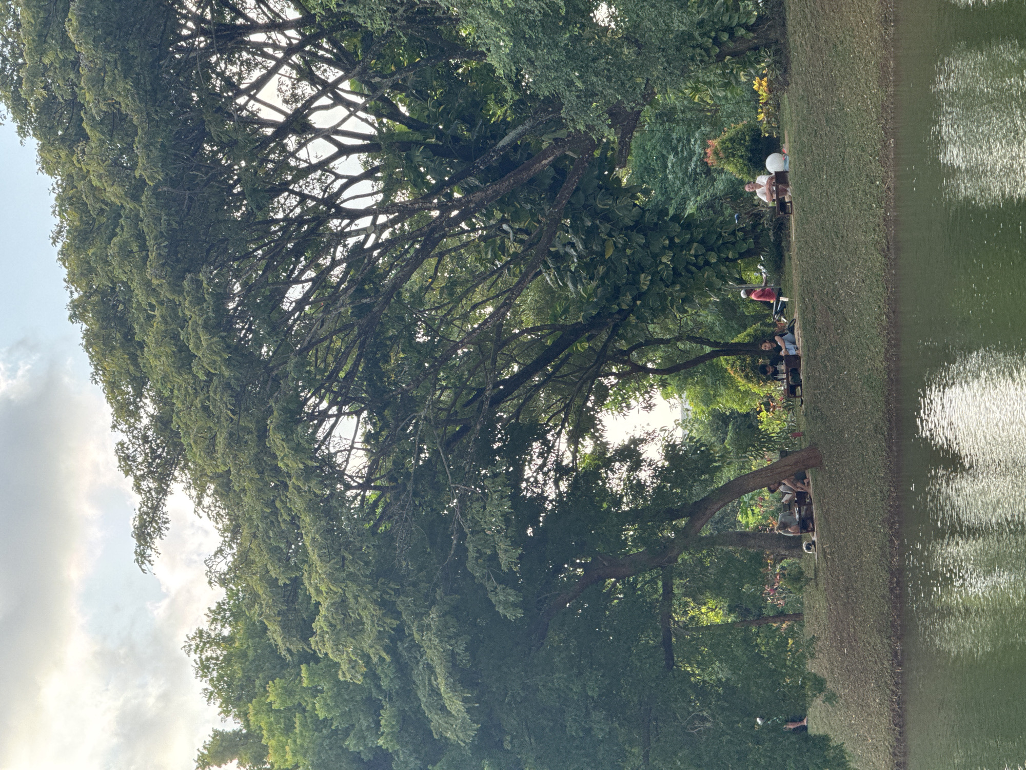 The image depicts a park in Kuta Selatan, Indonesia. A body of water, possibly a lake or pond, is on the right. A grassy embankment separates the water from the park area. Several people are sitting and standing along the embankment, some under the shade of large, leafy trees. The trees dominate the left side of the frame, their branches spreading and creating a dense canopy. The sky is visible in the upper-left corner, with some cloud cover.