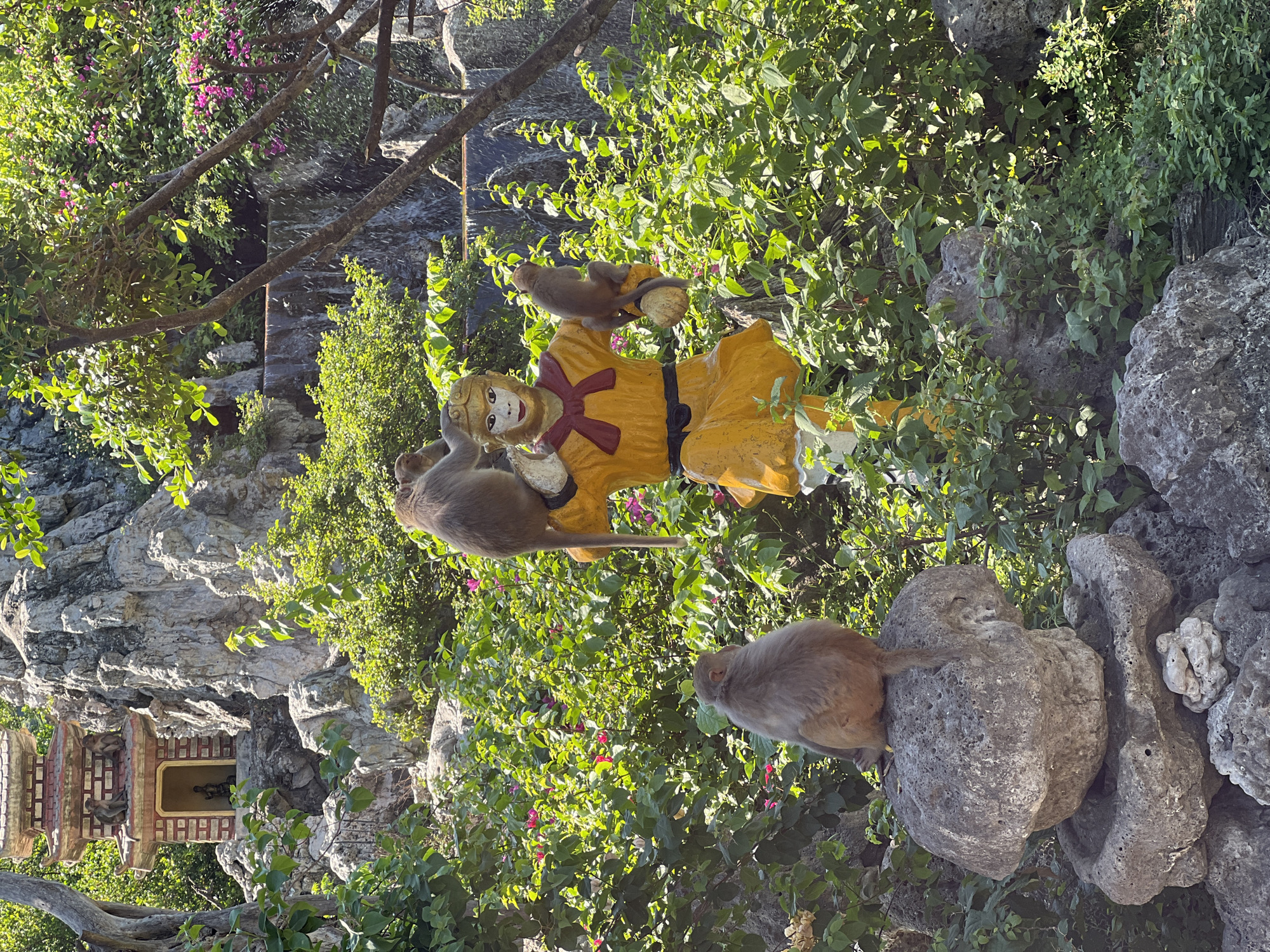 In Ninh Ích, Vietnam, a collection of monkeys interacts with a statue of Sun Wukong, the Monkey King, in a lush, rocky environment with a pagoda in the background. Three monkeys are visible in the foreground, one perched on a rock formation, another on the statue's shoulder, and a third clinging to the statue's arm. The statue is adorned in a yellow robe with a red sash and a black belt. In the midground, the statue stands among dense green foliage and pink flowers, with a cascading waterfall visible behind it. In the background, a multi-tiered pagoda rests against a rocky cliff face, with two more monkeys sitting on its roof. The overall scene depicts a harmonious coexistence between wildlife and cultural elements in a vibrant natural setting.