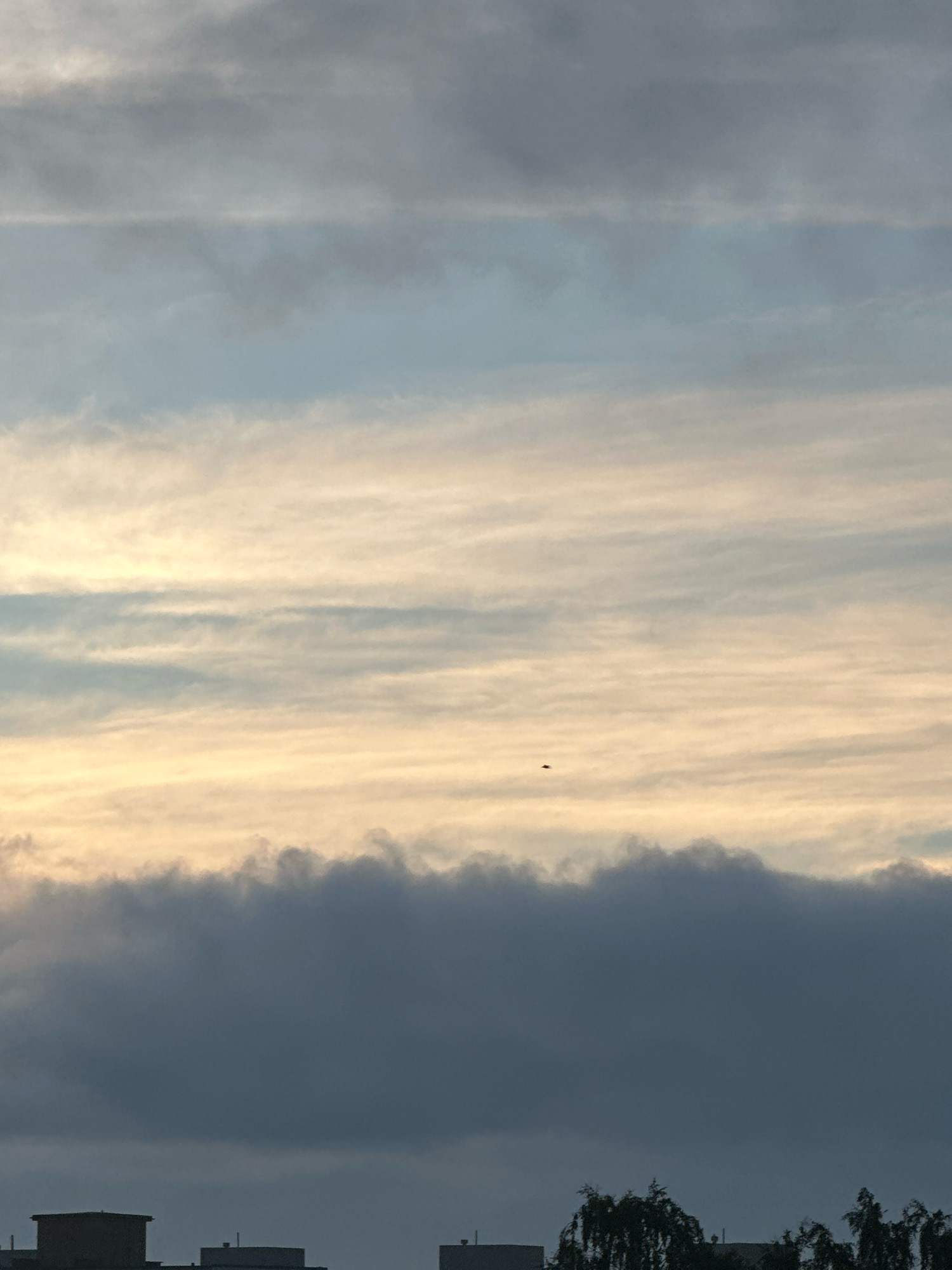 A low-angle, vertical outdoor photograph captures a sky filled with layered clouds and a small silhouetted object, possibly a bird or drone, flying at mid-height. The upper portion of the image displays lighter, wispy clouds in hues of grey and pale yellow, suggesting either dawn or dusk. Below these, a thick, darker band of clouds dominates the middle ground, with its upper edge appearing textured and somewhat illuminated. The bottom section of the image reveals the dark silhouettes of buildings and trees, indicating an urban or suburban environment, likely in Tallinn, Estonia. The lighting conditions are subdued, with the primary light source appearing to be diffused through the clouds.