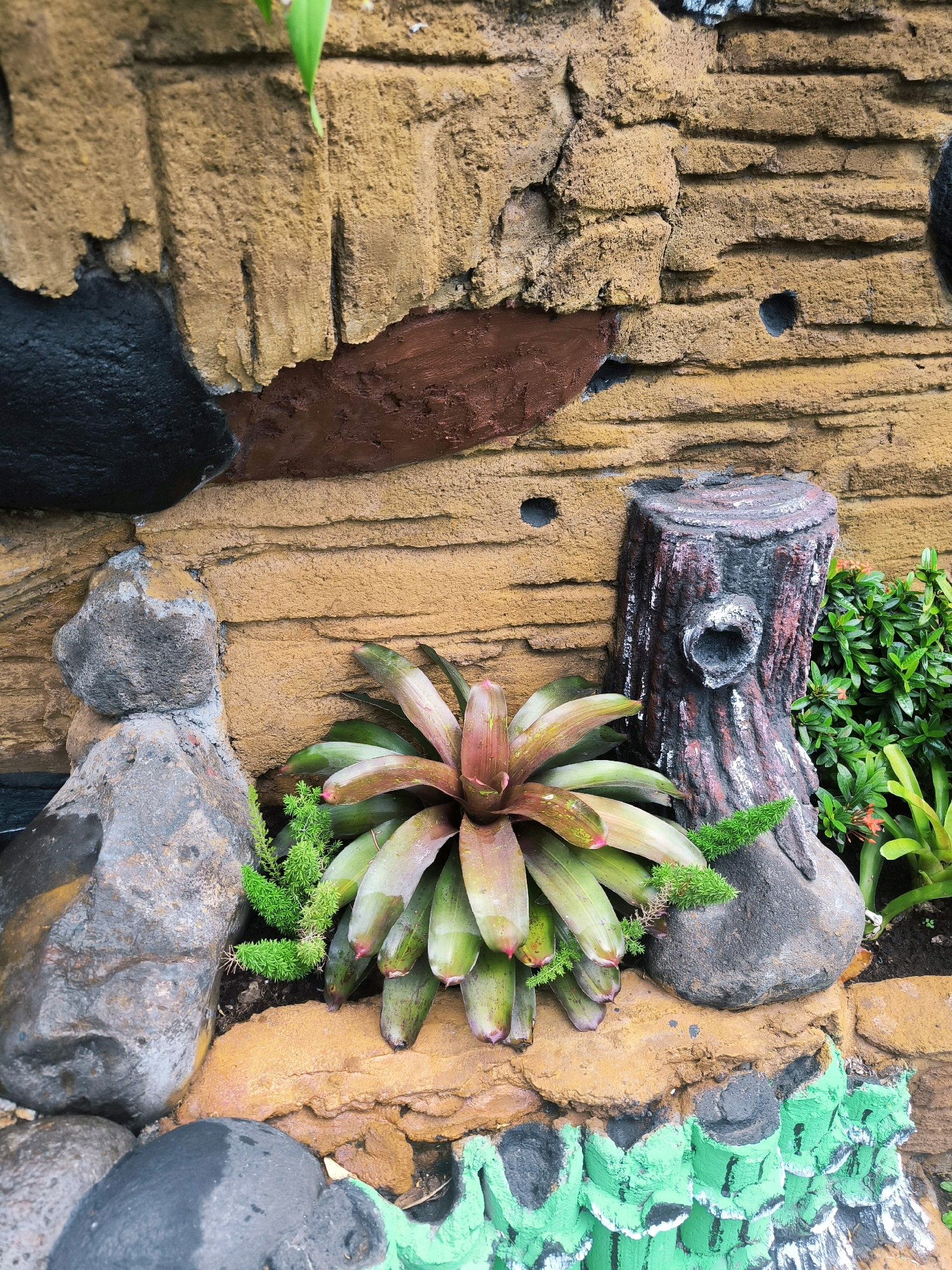 The image depicts an outdoor decorative landscape installation, possibly in a garden or public space, featuring a textured wall with various earthy tones. The wall is constructed to resemble natural rock formations, with shades of brown, tan, and black. Embedded within the wall or placed in front of it are several elements.
Prominently featured is a bromeliad plant with large, elongated leaves displaying a gradient of green to reddish-pink at the tips. The leaves appear slightly wet, suggesting recent watering or dew. Surrounding the bromeliad are smaller green plants, including some fine-textured, bright green foliage that resembles moss or a low-growing succulent.
To the right of the bromeliad is a decorative artificial tree stump, textured and painted to mimic weathered wood with dark brown, red, and white accents. The stump has a hollow opening resembling a knothole.
Several large, dark gray rocks are positioned in the foreground and to the left, some appearing smooth and wet. A portion of the wall at the bottom features a decorative element painted in bright green with black and white accents, creating a layered, somewhat abstract pattern.
The overall scene suggests a man-made environment designed to mimic natural elements, with a focus on texture and plant life. The image does not contain any people.
While the image itself does not provide specific location information, the prompt requests inclusion of the city of Tabanan, Indonesia. Therefore, it is described as an outdoor decorative landscape installation in Tabanan, Indonesia.