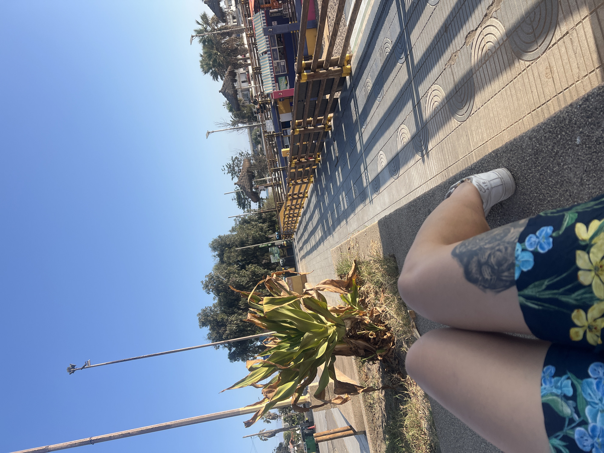 The image shows a person sitting on a bench in Arica, Chile. The view includes a wooden boardwalk with shops, trees, and a bright blue sky. The person is wearing floral shorts and a white sneaker is visible. A tattoo is on their leg. A large, partially dry plant grows next to the bench. The ground is paved with gray tiles with circular patterns. Light poles run along the street.