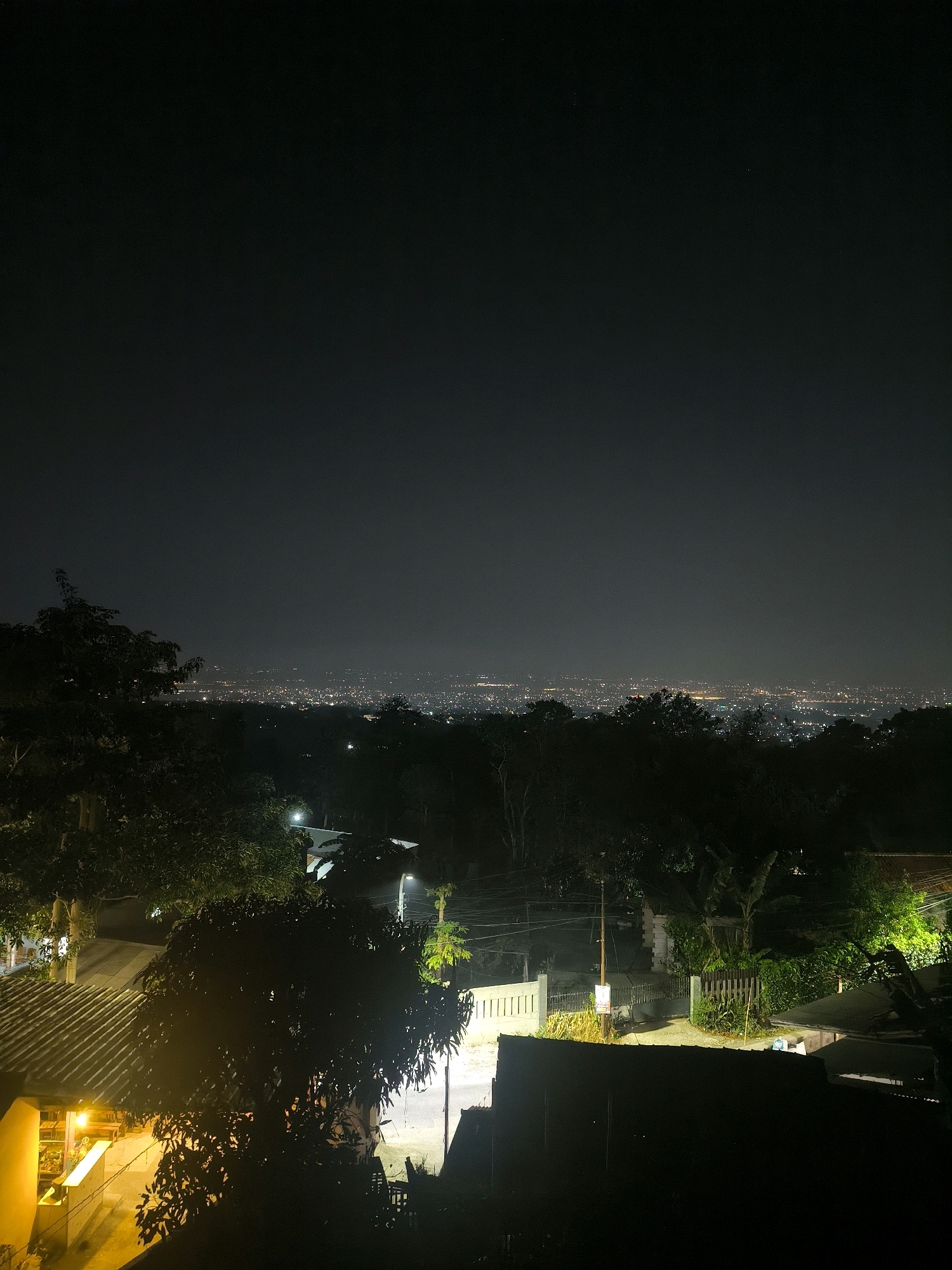 An elevated night view captures a sprawling cityscape in the distance, its lights forming a hazy glow against the dark sky. In the foreground, silhouetted trees and foliage frame the scene, with a few scattered lights from houses and streetlamps illuminating parts of the immediate surroundings. The atmosphere is dark and quiet, suggesting a peaceful, residential area overlooking the more active urban center.
