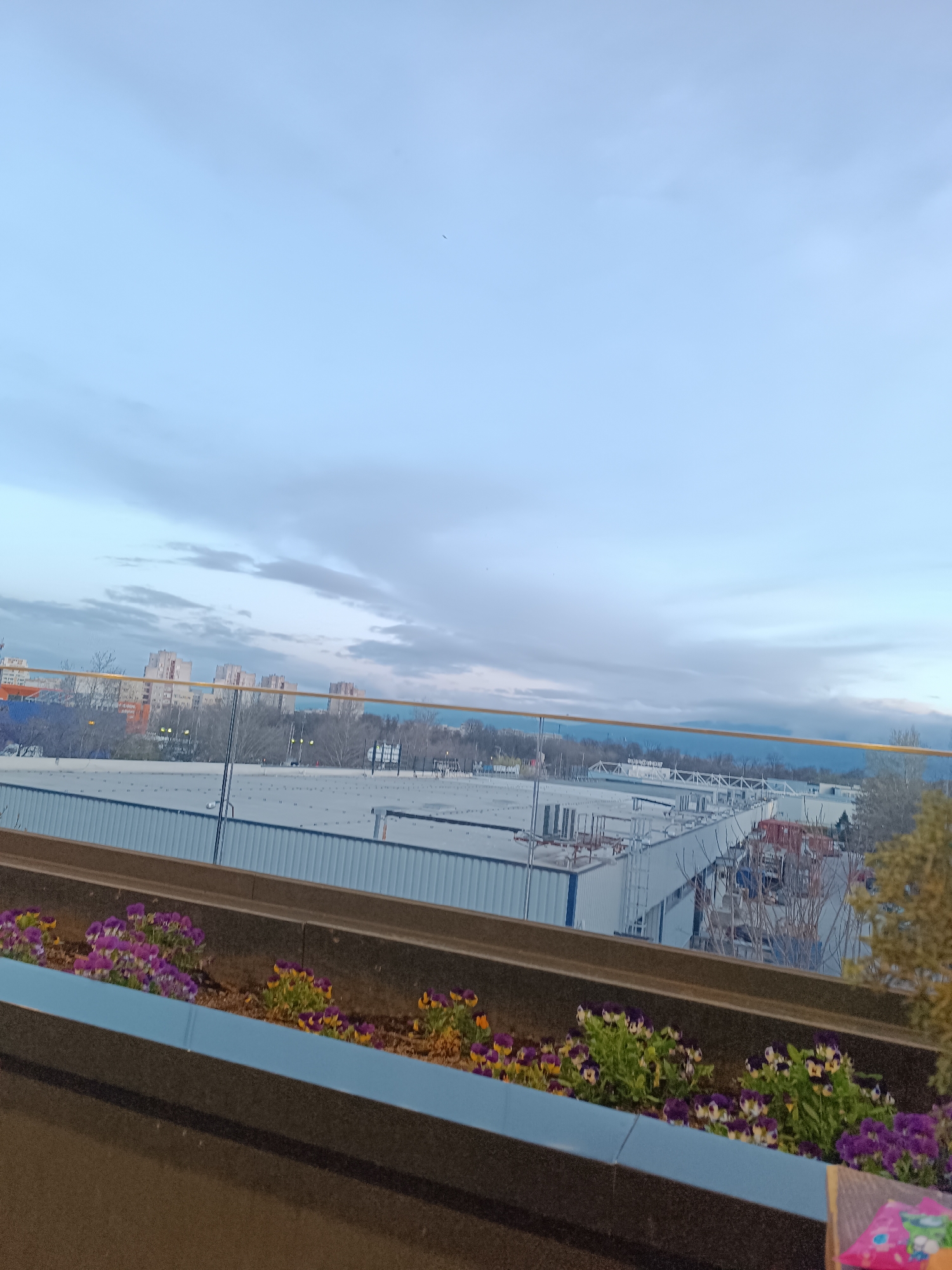 The image shows an elevated view of Plovdiv, Bulgaria, from a balcony or rooftop. In the foreground is a planter box with purple and yellow pansies. Beyond the planter, there is a cityscape consisting of large, low-rise buildings, likely industrial or commercial structures, with light-colored roofs. In the background, a cluster of taller residential buildings is visible. The sky is overcast with varying shades of blue and gray, suggesting either dawn, dusk, or a cloudy day. The image appears to be taken from a height, possibly a higher floor of a building.