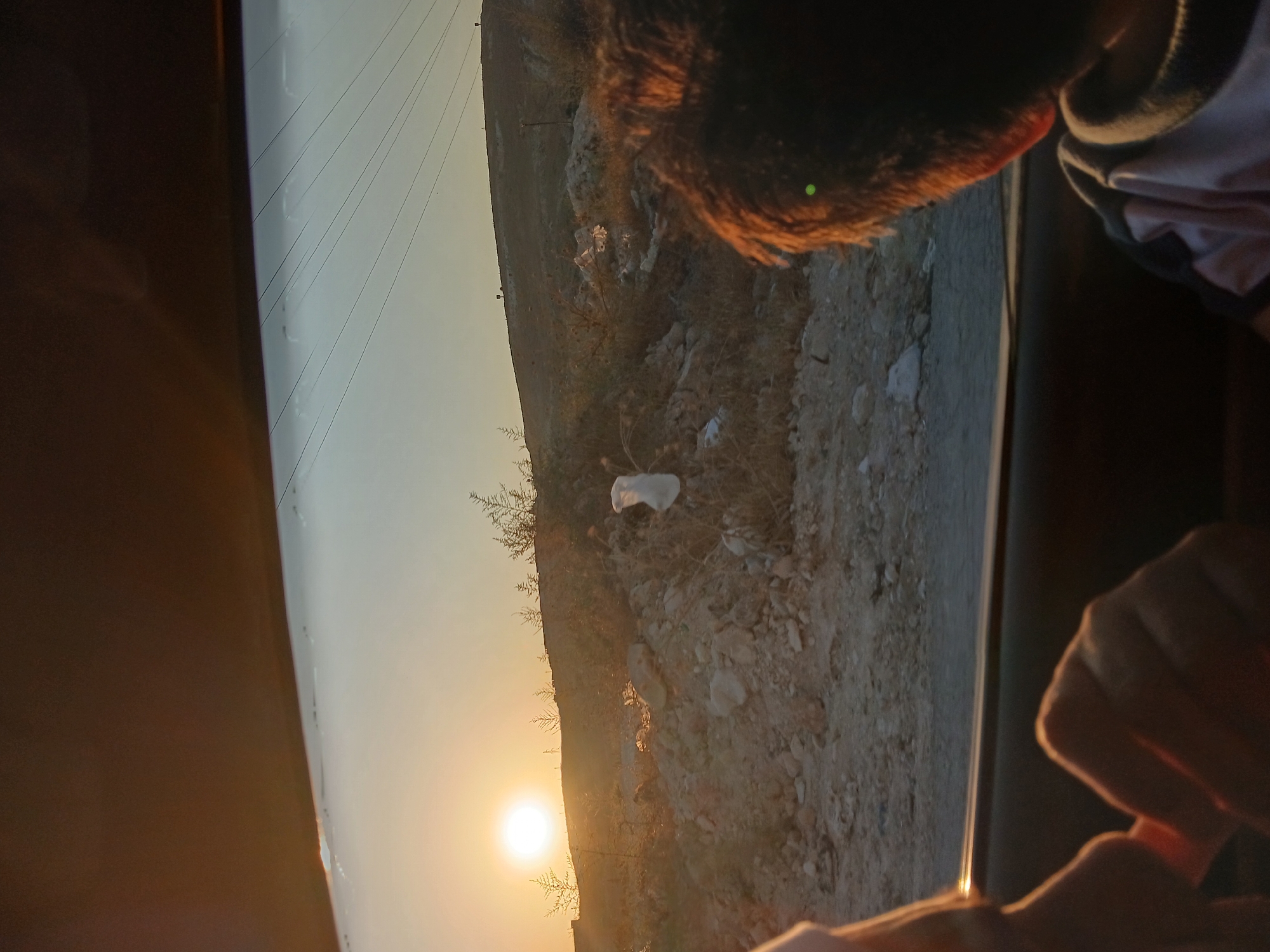 The image depicts a view from inside a vehicle, looking out at a sunset over a hilly, barren landscape. In the foreground, parts of two individuals are visible: a person's hand and arm on the left, bathed in warm sunlight, and the back of a child's head and shoulder on the right, with reddish-brown hair. The child appears to be wearing a white and dark-collared shirt. Outside the vehicle, the sun is a bright orb low in the sky, casting a golden glow. The landscape is characterized by dry brush, rocks, and scattered debris, including what appears to be a white plastic bag caught on a bush. In the distance, power lines stretch across the horizon above a gently sloping hill. The overall impression is of a scene captured during a car journey through a rural or semi-arid area in the late afternoon or early evening.