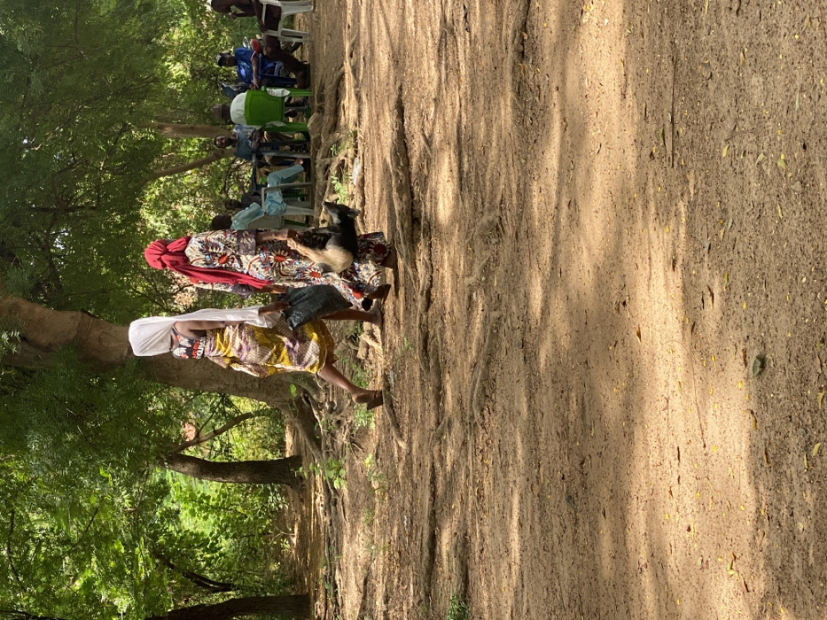 The image depicts an outdoor environment in Usunwe, Nigeria, characterized by an unpaved reddish-brown ground surface with numerous exposed tree roots and scattered dry leaves. Dense green foliage and multiple tree trunks form the background, suggesting a wooded area.
In the midground, two women walk from left to right. The first woman, positioned to the left, is barefoot and wears a patterned yellow dress, a white head covering that extends down her back, and a black sleeveless top underneath with partially visible text. She carries a dark bag in her left hand. The second woman, slightly behind and to the right, wears a long, patterned dress with long sleeves and a red head covering. She carries a dark-furred animal, consistent with a juvenile goat or sheep, by its hind legs, with its head hanging downwards.
In the deeper background, under the trees, a group of approximately 6-8 men are seated at tables and on various chairs, including green plastic chairs, indicating a social gathering or meeting. Natural daylight casts dappled shadows across the scene.