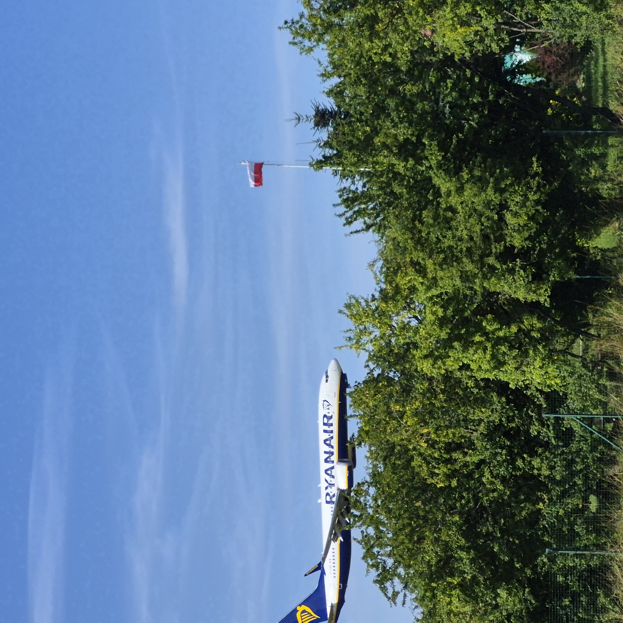 An aerial view of Gdańsk, Poland, captures a Ryanair airplane in flight against a clear blue sky dotted with thin white clouds. The airplane, with its distinctive blue and yellow livery, is positioned in the upper left quadrant of the image, descending towards the viewer. The Polish flag, red and white, flutters on a flagpole to the right of the airplane, also in the sky.
Below the sky, a dense canopy of green trees dominates the middle and lower portions of the image, obscuring the ground. A chain-link fence runs horizontally across the lower part of the frame, partially visible through the foliage, suggesting the edge of a property or airport perimeter. The overall scene suggests a sunny day, with the airplane likely on its approach to Gdańsk Lech Wałęsa Airport.