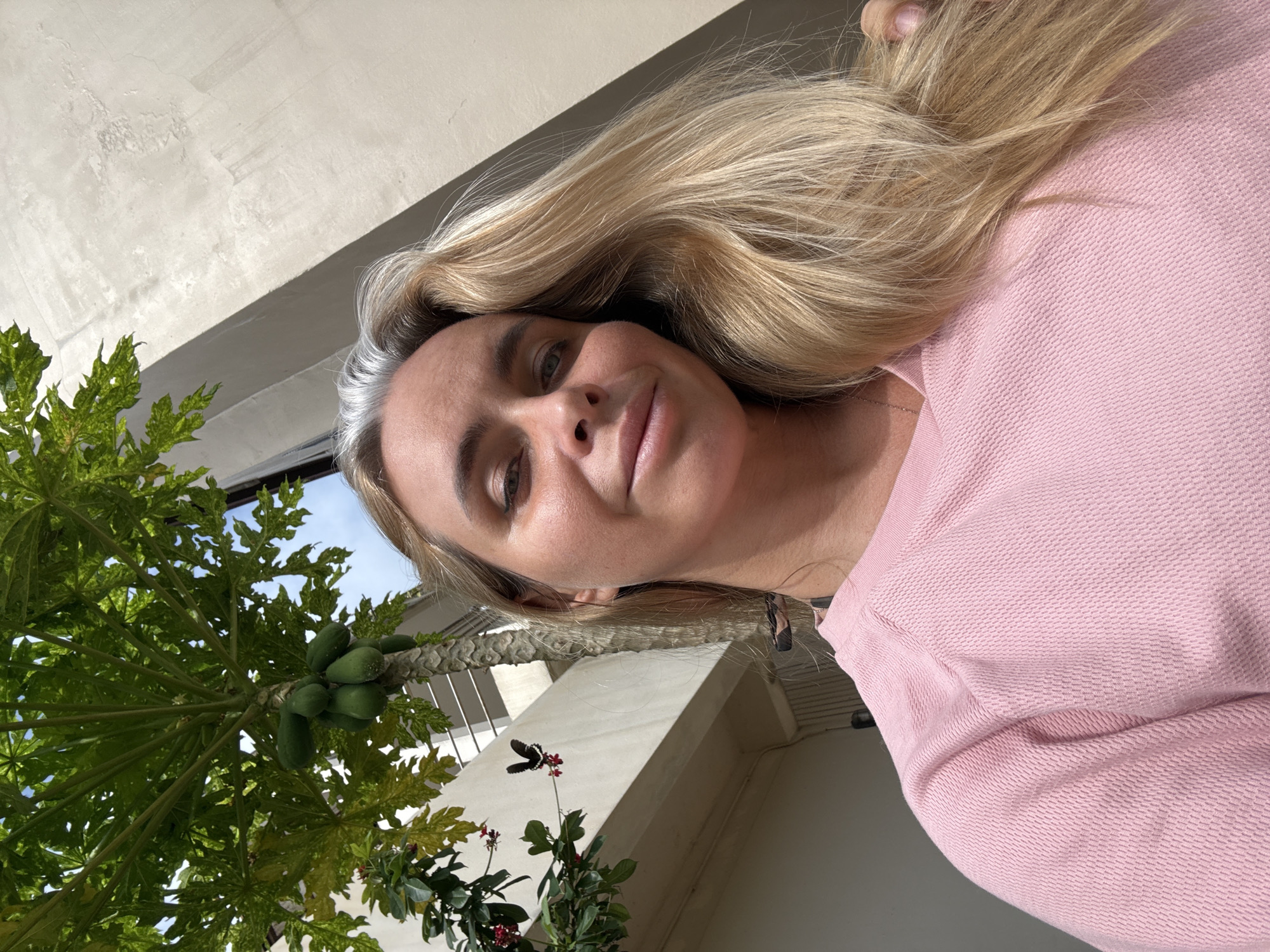 The image shows a woman with blonde hair, wearing a pink shirt, taking a selfie outdoors. Behind her, a papaya tree with several green papayas is visible. The background includes a building and a clear blue sky. The scene appears to be in a tropical or subtropical location. There is no specific indication of the city of Ko Samui District, Thailand.