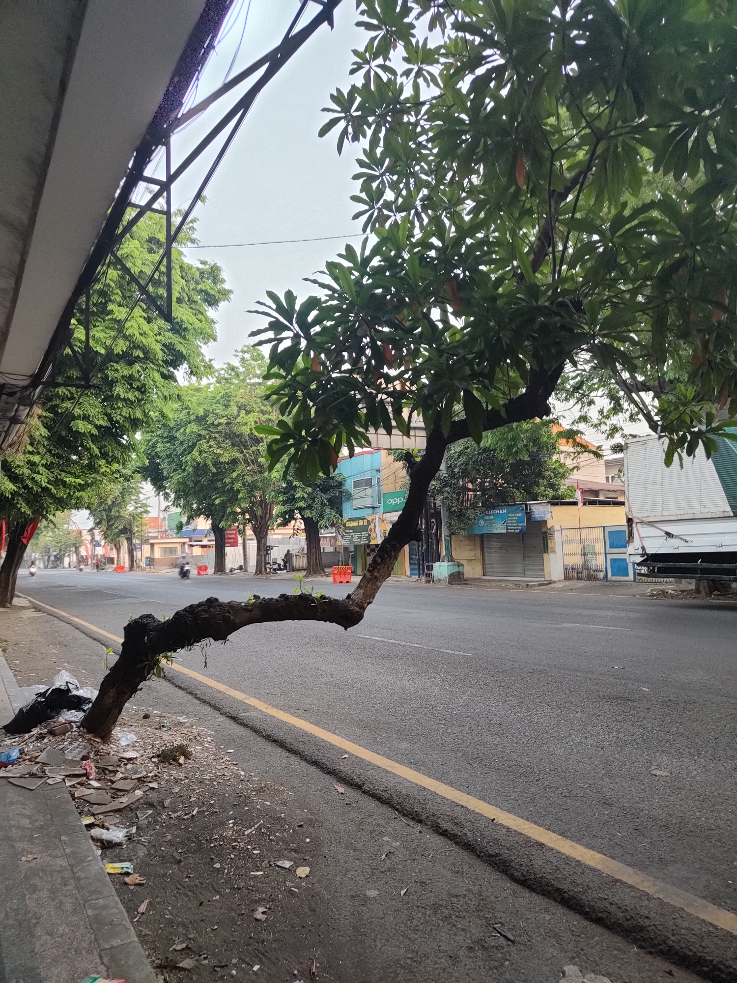 The image depicts a street scene in Bangil, Indonesia, characterized by an unusual tree. The tree's trunk, heavily weathered and dark, is dramatically angled, extending horizontally over the asphalt road from a pile of debris on the sidewalk. The base of the tree is surrounded by discarded trash, including plastic bags, paper fragments, and other assorted refuse, creating a unsightly environment along the curb.
The road itself is paved and marked with a yellow line indicating the edge of the traffic lane. Several vehicles are visible in the distance, including motorbikes and what appears to be a truck, suggesting moderate traffic flow. Buildings line the opposite side of the street, displaying a mix of architectural styles and commercial signage, with some storefronts appearing closed. The sky is overcast, contributing to a muted and diffused light. The overall impression is one of an urban setting with signs of neglect, particularly around the base of the prominent, contorted tree.