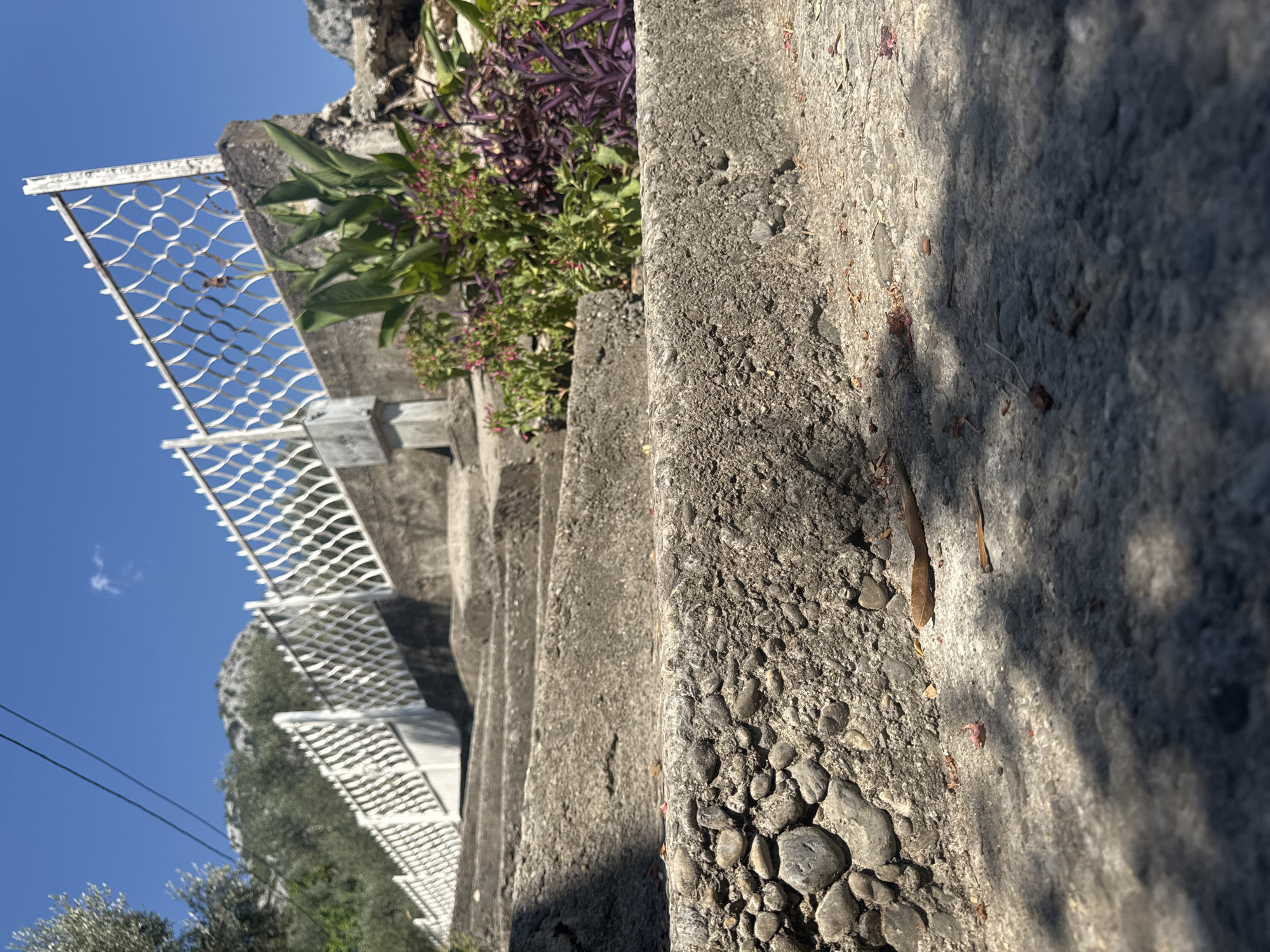 A low-angle shot shows a concrete staircase ascending outdoors. The stairs are worn and textured with embedded pebbles on the edges. Shadows from overhead foliage fall across the steps. In the background, a white metal fence with an ornate diamond pattern runs along the top of a concrete wall. Green and purple plants are visible behind the fence, and beyond that, a tree with olive-colored leaves and a rocky mountain peak under a clear blue sky. Power lines are visible in the upper left of the image. The scene is located in Brca, Montenegro.