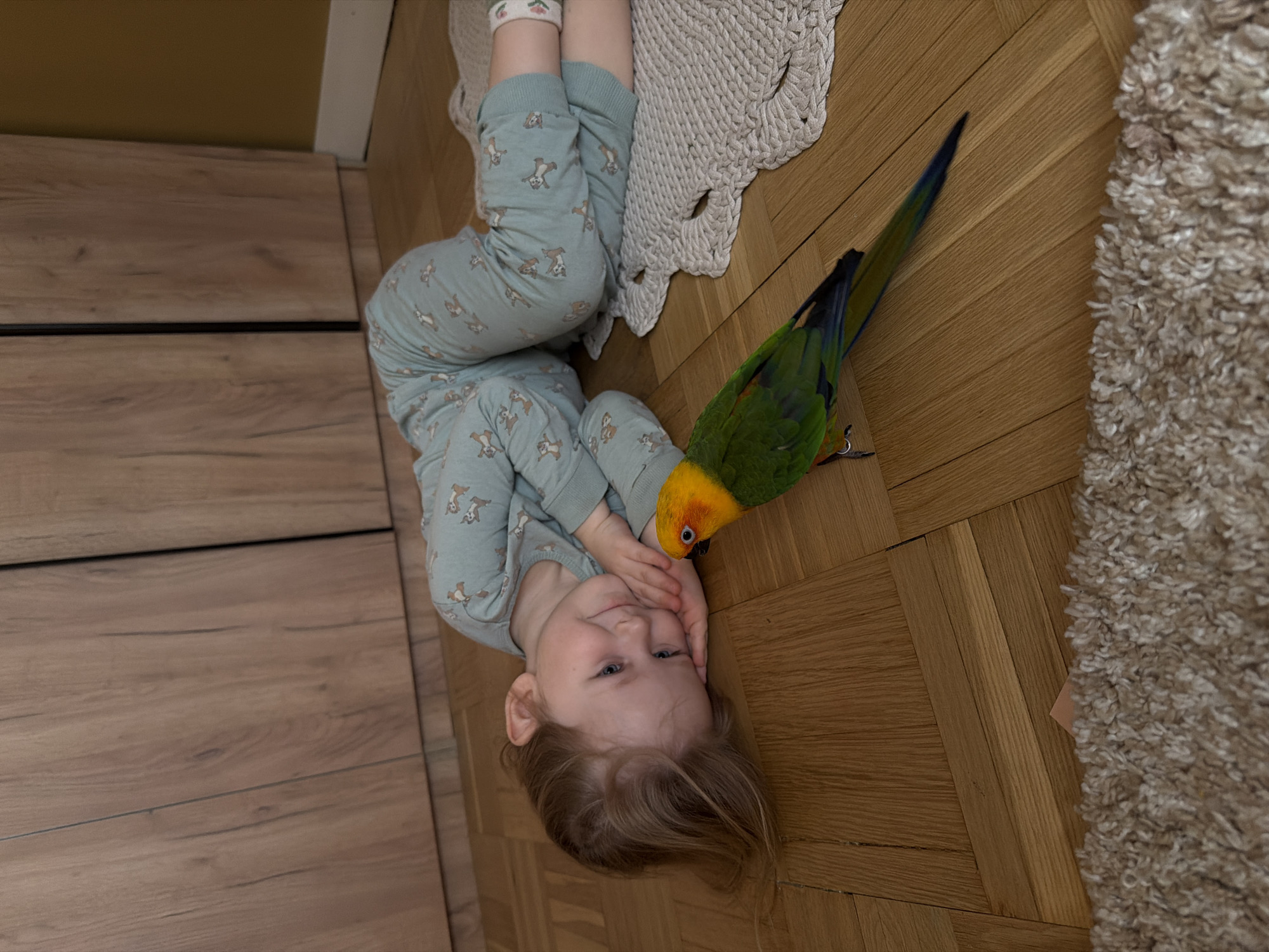 A young child in light blue patterned pajamas is lying on a light brown hardwood floor. The child has blonde hair and is looking at the camera with a slight smile. A parrot, primarily green with an orange head and blue tail feathers, is near the child's face. A small white crocheted rug is partially visible behind the child's legs. A light brown dresser is in the upper left corner of the frame, and a beige shaggy rug is partially visible in the lower right corner. The scene is indoors, likely in a home. There is no evidence that the image was taken in Khimki, Russia.
