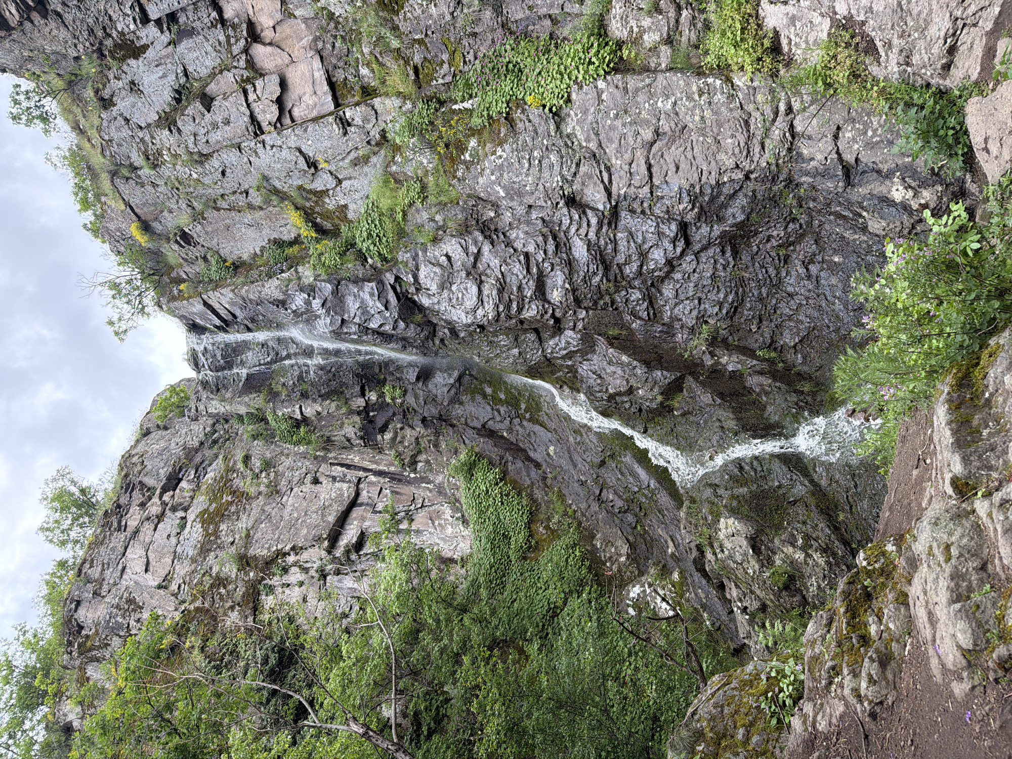 A landscape photograph depicts a tall, rocky outcrop with a waterfall cascading down its face, taken in what appears to be Ustina, Bulgaria. The rock formation is composed of stratified gray stone with patches of moss and vegetation clinging to its surface. The waterfall originates from the upper part of the rock face and descends in a narrow stream, widening slightly as it moves downward. Trees and greenery surround the base of the rock, adding depth to the scene. The sky is overcast. The image is rotated to the left.