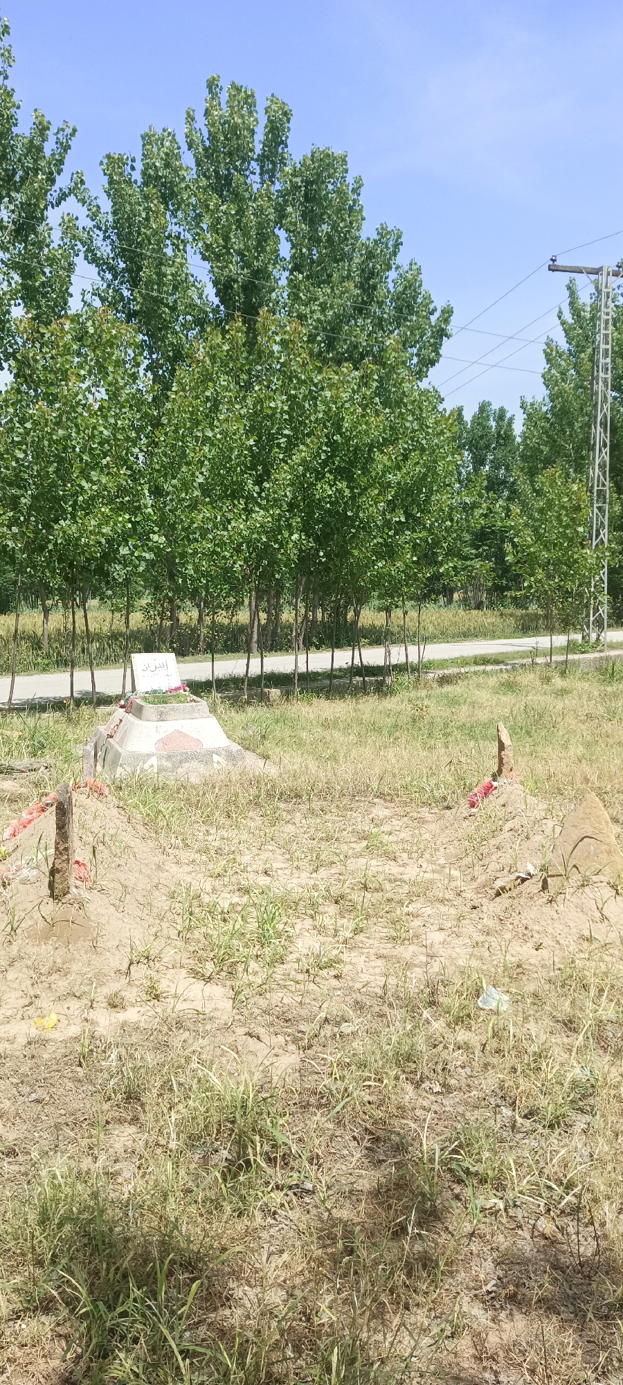 The image captures an outdoor scene under a clear, bright blue sky, suggesting daytime with strong sunlight. In the foreground, two grave markers are visible on dry, patchy ground interspersed with sparse green grass. The grave on the left is a concrete or stone structure with a flat top, featuring some red detailing on its side. A small white sign, bearing text in an Arabic script that appears to read "افتخار" (Iftikhar, meaning pride or honor), rests on top. To its right and slightly behind, a simpler grave consists of an earthen mound with a crude, upright stone marker at one end, also adorned with a hint of red material, possibly flowers or fabric.
Behind the grave markers, a narrow road or path cuts horizontally across the mid-ground. This path is bordered by a dense line of tall, slender trees with vibrant green leaves, likely poplars. Further back and to the left, beyond the trees, a field of lighter green vegetation, possibly crops, extends into the distance. On the far right side of the image, a metal utility pole with multiple power lines stands against the sky, adding a touch of infrastructure to the natural landscape. No people are visible, and no specific activity is occurring. The scene conveys a sense of peacefulness, typical of a rural or semi-rural burial ground.