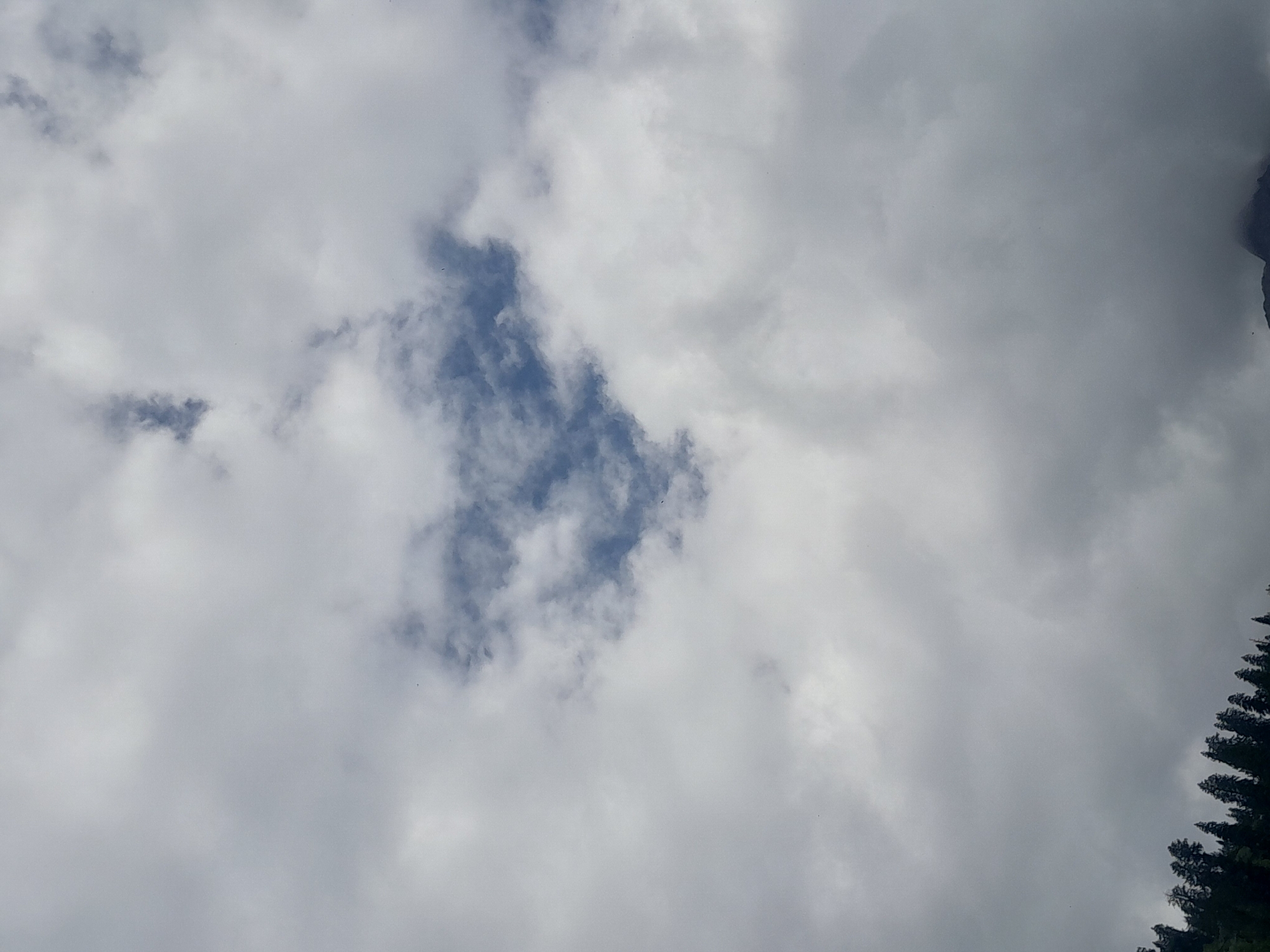 The image is a vertical, slightly tilted medium shot of a cloudy sky over a mountain landscape. The majority of the frame is filled with thick, white and gray clouds, with a patch of bright blue sky visible in the upper center, shaped somewhat like a heart. The bottom of the frame shows a dark, dense line of evergreen trees along a mountain ridge. The lighting is overcast, with the sun not directly visible. The location is unknown.