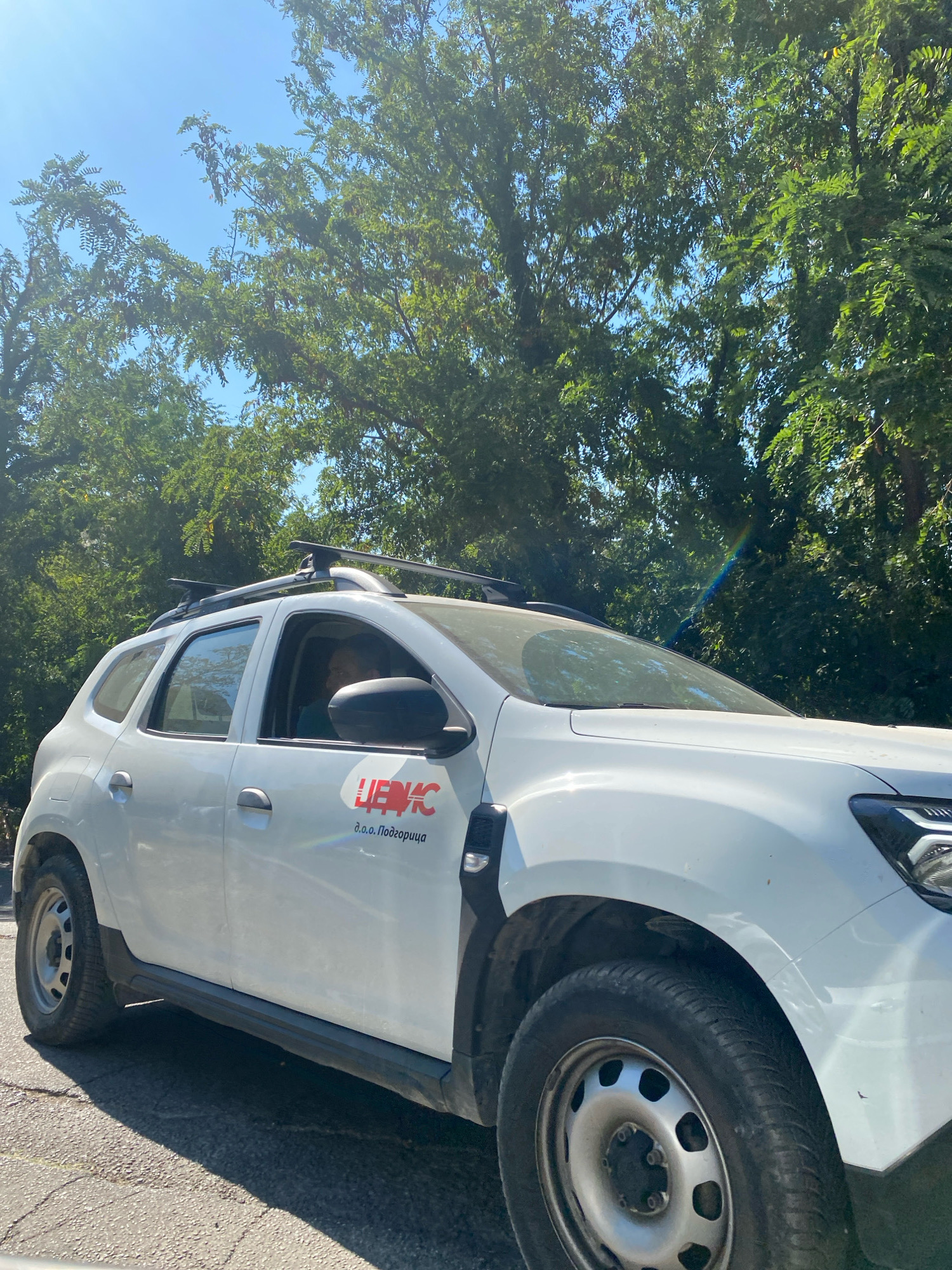 A white Dacia Duster SUV is parked on a paved surface, likely a street, under a canopy of green trees. The vehicle has a roof rack and a logo on the driver's side door that reads "ЦЕКС" in red, with "д.о.о. Подрорица" in smaller text below. A person's head and shoulders are visible through the driver's side window. The sky is blue and clear, with sunlight creating a lens flare effect on the windshield. The overall scene appears to be in a natural, possibly residential or semi-rural area, consistent with locations in Sutomore, Montenegro.