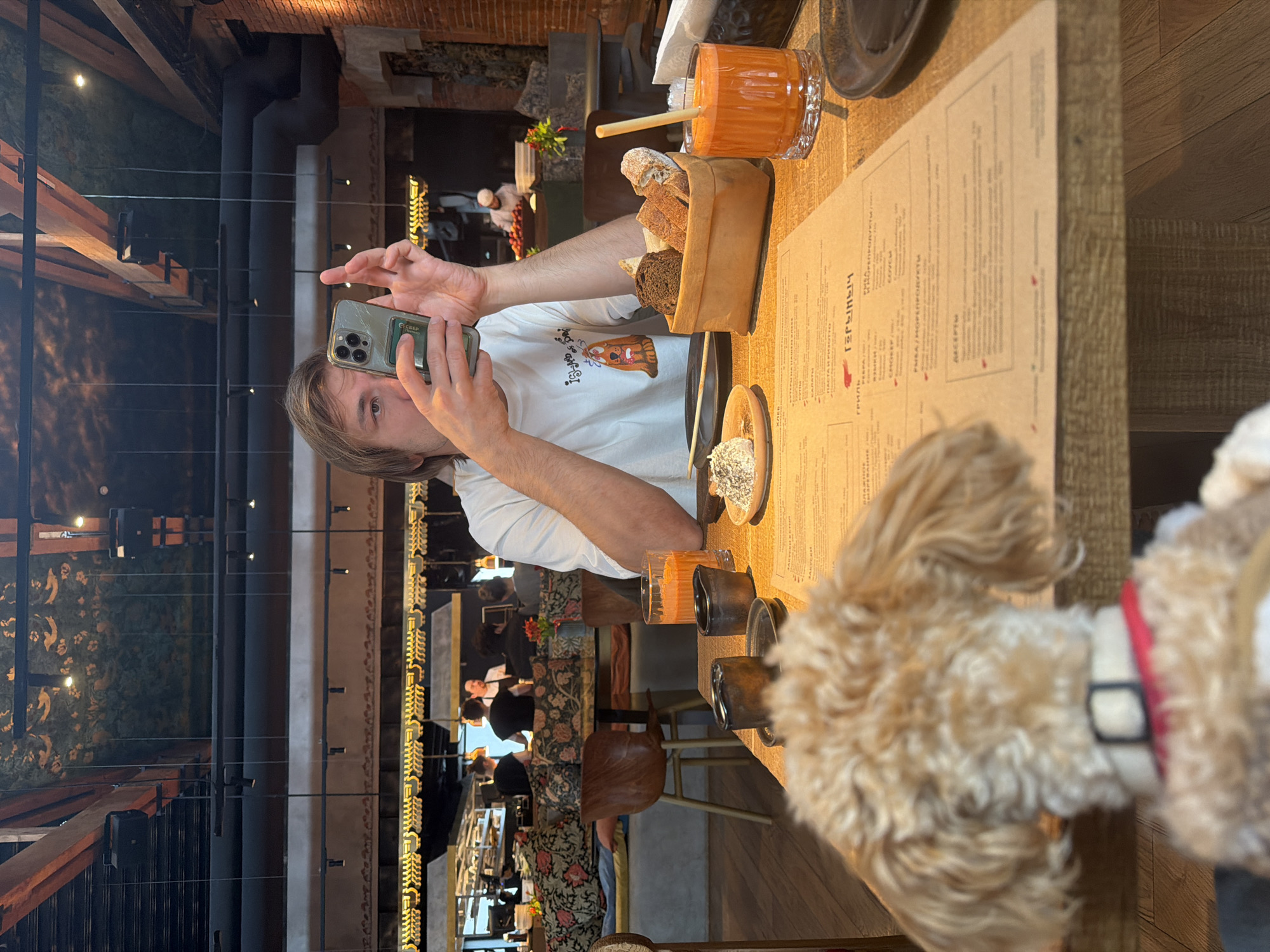 A man with light hair is holding a smartphone, apparently taking a photograph at a table in a restaurant. A medium-sized, light-brown dog with a red collar is also visible at the edge of the table. On the table is a menu, a beverage, a brown paper bag holding bread, a small dish of food, and a utensil. The background shows other tables and people in what appears to be a busy restaurant, with unique interior design elements. Based on the Cyrillic script on the menu visible, and the Sberbank logo on the back of the phone, this is in Moscow, Russia.