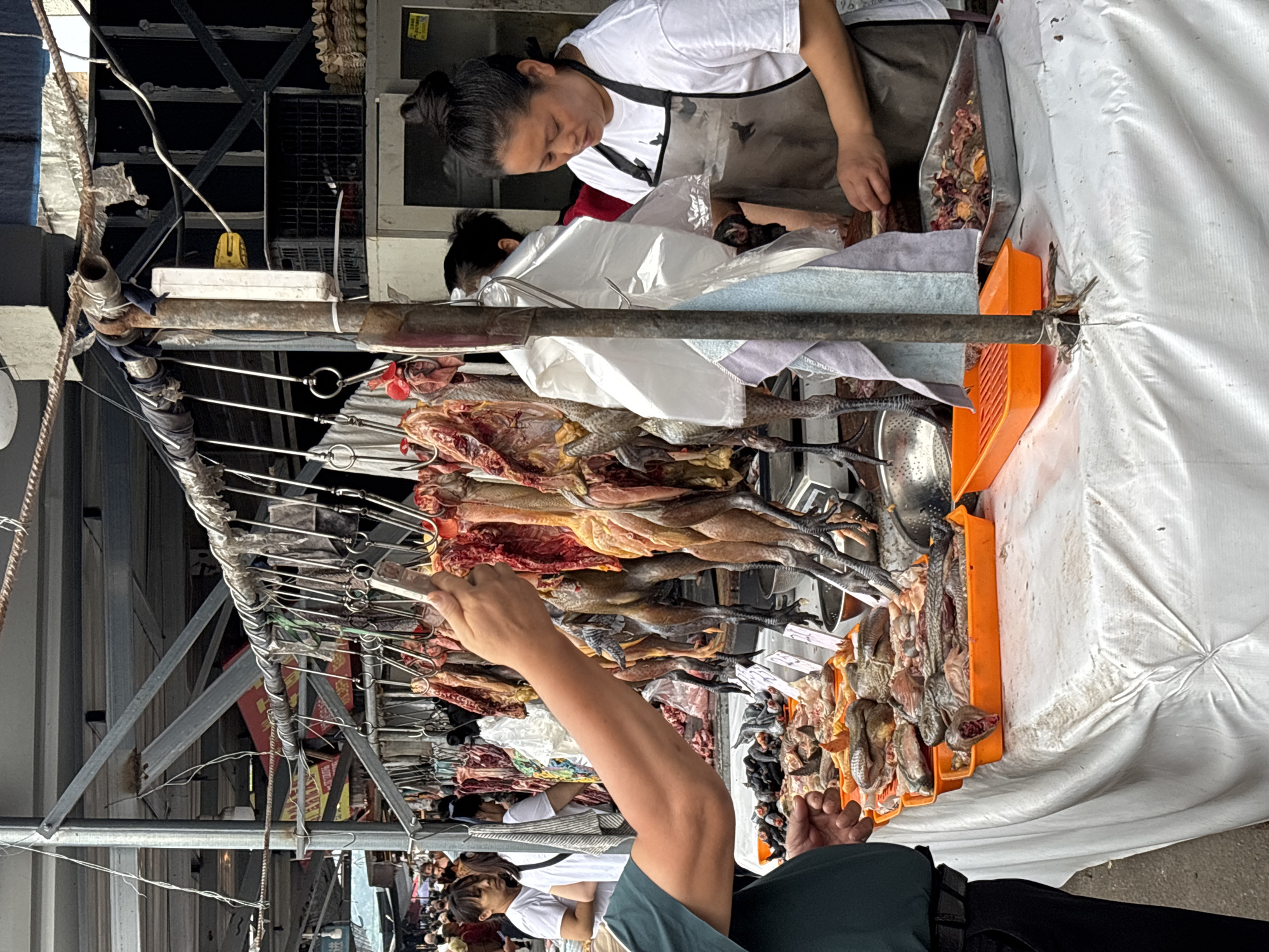 This image depicts a scene at a wet market in Jiangjin, China. In the foreground, a person wearing a green shirt and dark pants is partially visible, their arm extended towards a display of dead birds hanging from hooks. The birds are mostly dark-feathered and appear to have been processed, with their insides exposed. To the right, a woman wearing a white t-shirt and a transparent apron is actively engaged in preparing meat, with a tray of chopped animal parts in front of her.
The market stalls are organized with various food items on display. In the midground, on a table covered with a white cloth, there are several orange plastic trays filled with raw fish and other processed meats. Behind the hanging birds and the woman, other market stalls and people are visible, indicating a busy commercial environment. The background shows a corrugated metal roof structure, typical of open-air markets, with some signage and electrical wires suggesting urban infrastructure. The overall atmosphere is one of an active, traditional market selling fresh produce and meats.