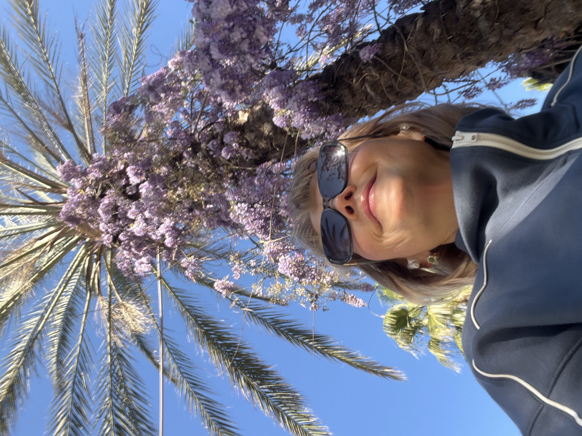 A low-angle photograph captures a woman wearing sunglasses, positioned against a backdrop of a palm tree and flowering wisteria. The setting is outdoors, evidenced by the clear blue sky visible through the foliage. The woman is wearing a dark hooded sweatshirt with white piping. The image was likely taken in Alanya, Turkey, as this area is known for its palm trees and flowering wisteria.