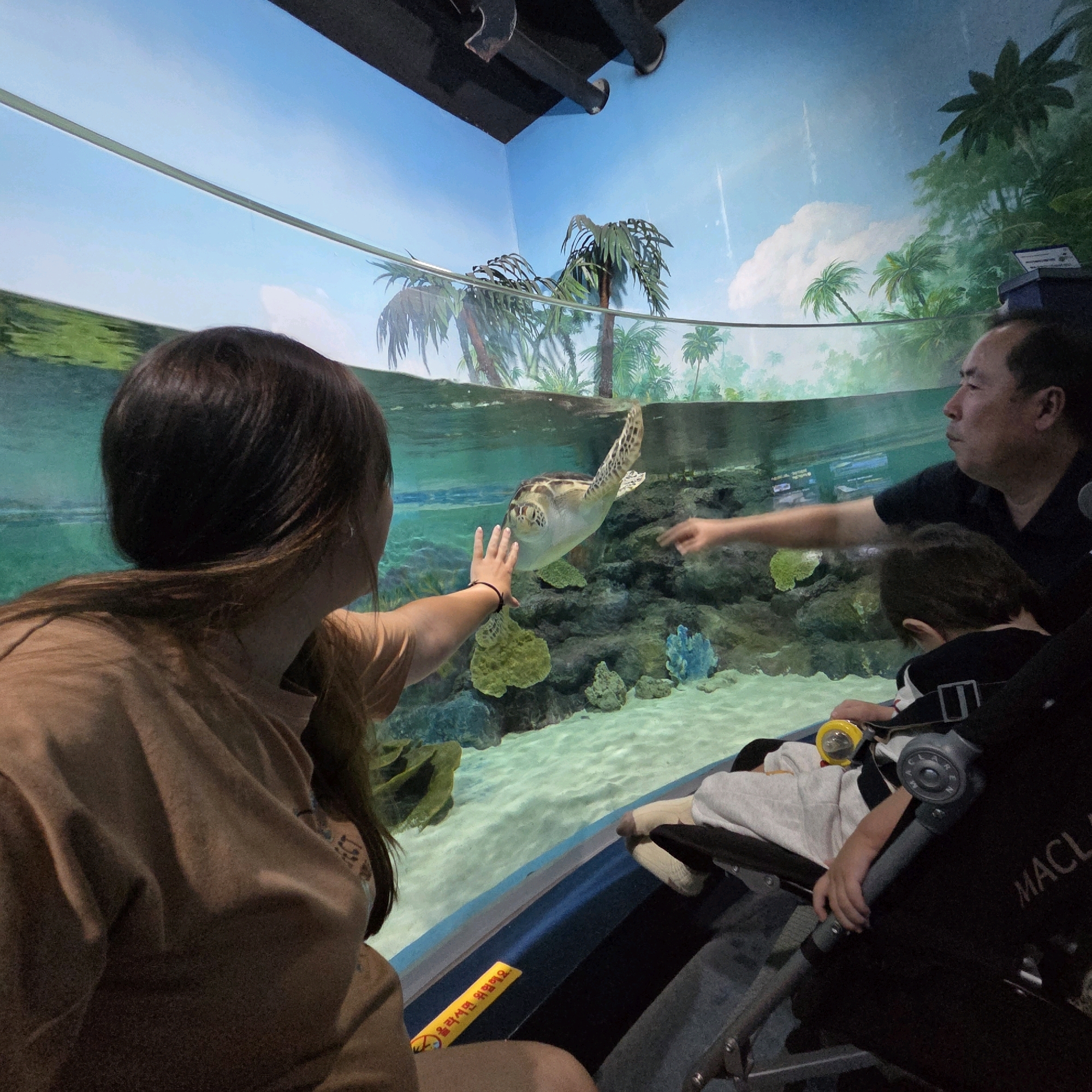 An East Asian man wearing a dark t-shirt points toward a sea turtle in an aquarium. A woman with long dark hair, wearing a tan t-shirt, extends her left hand towards the sea turtle. A child in a stroller, partially visible, rests their head on a white blanket. The aquarium features a sandy bottom with rocks and coral. The background is a painted mural of a tropical landscape with palm trees. The scene appears to be at the Gangneung Aquarium in Gangneung-si, South Korea.