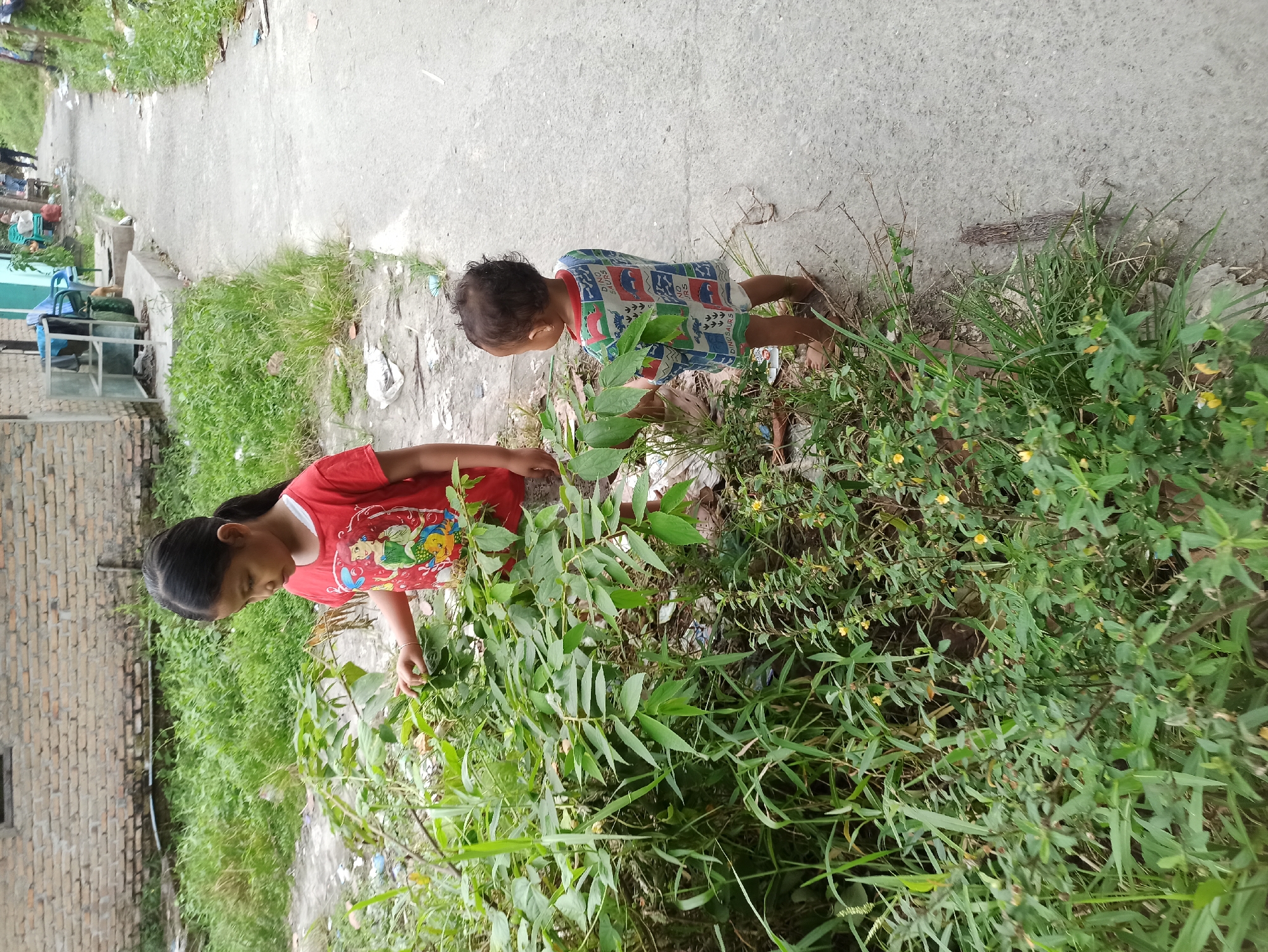 Two young children are standing near a paved path on a cloudy day. The child on the left, a girl wearing a red t-shirt with cartoon characters, is looking down at some plants. She has dark hair pulled back into a ponytail. The child on the right, a toddler, is facing away from the camera and wearing a multi-colored shirt with dinosaur patterns. The environment appears to be an urban area with buildings and overgrown vegetation along the side of the path. There is some litter visible on the ground near the plants. The buildings in the background are made of brick and cement.