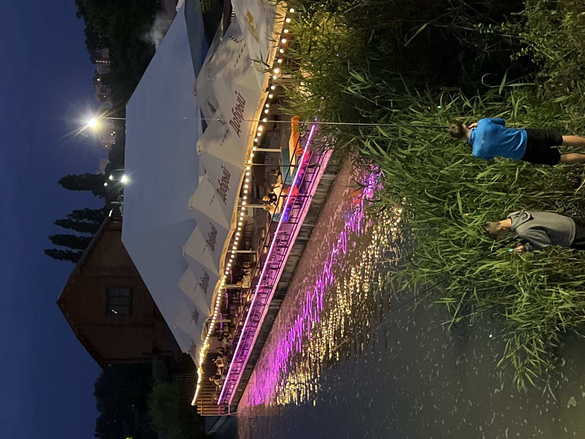 At dusk, a waterfront restaurant, likely located along the Kuban River in Krasnodar, Russia, is illuminated by strings of lights and purple neon. The establishment features a large, white, tent-like awning covering numerous tables and patrons seated outdoors. A wooden building stands behind the restaurant, and a line of trees is visible in the distance, with city buildings and streetlights further beyond. In the foreground, two individuals are fishing from the riverbank, surrounded by tall reeds. One person, wearing a gray hoodie, holds a phone. The other, in a blue t-shirt and black shorts, is actively engaged in fishing. The water reflects the colorful lights from the restaurant, creating a vibrant spectacle.