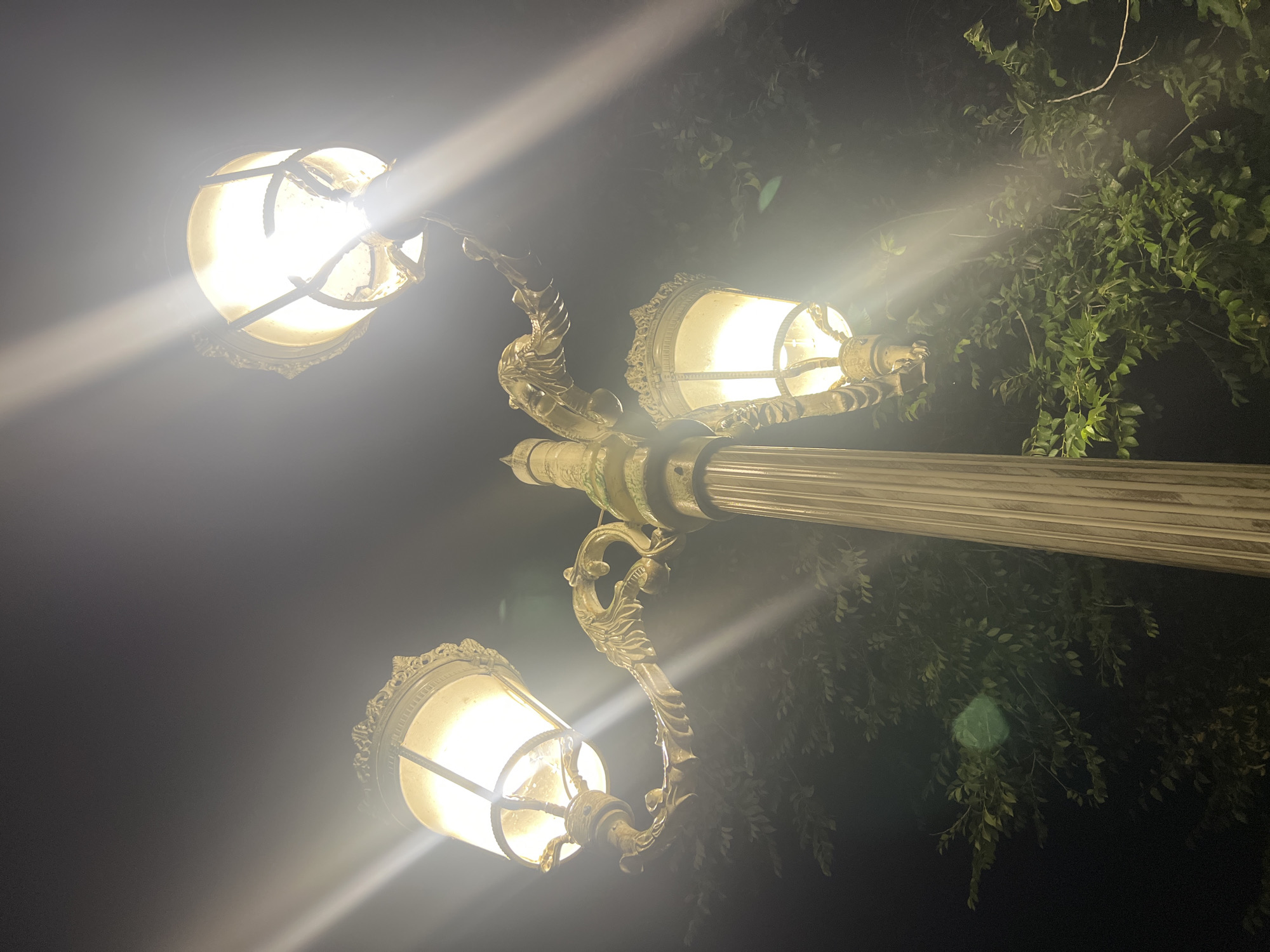 An ornate, three-lamp street lamp stands against a dark, leafy background. The street lamp is made of a brass-colored metal and features decorative elements resembling mythological creatures. The lights are illuminated, casting a bright, warm glow and creating lens flares in the image. The lamp post itself is fluted. The surrounding environment is dark, with the silhouettes of leaves and branches visible behind the illuminated lamps. The scene appears to be outdoors at night.