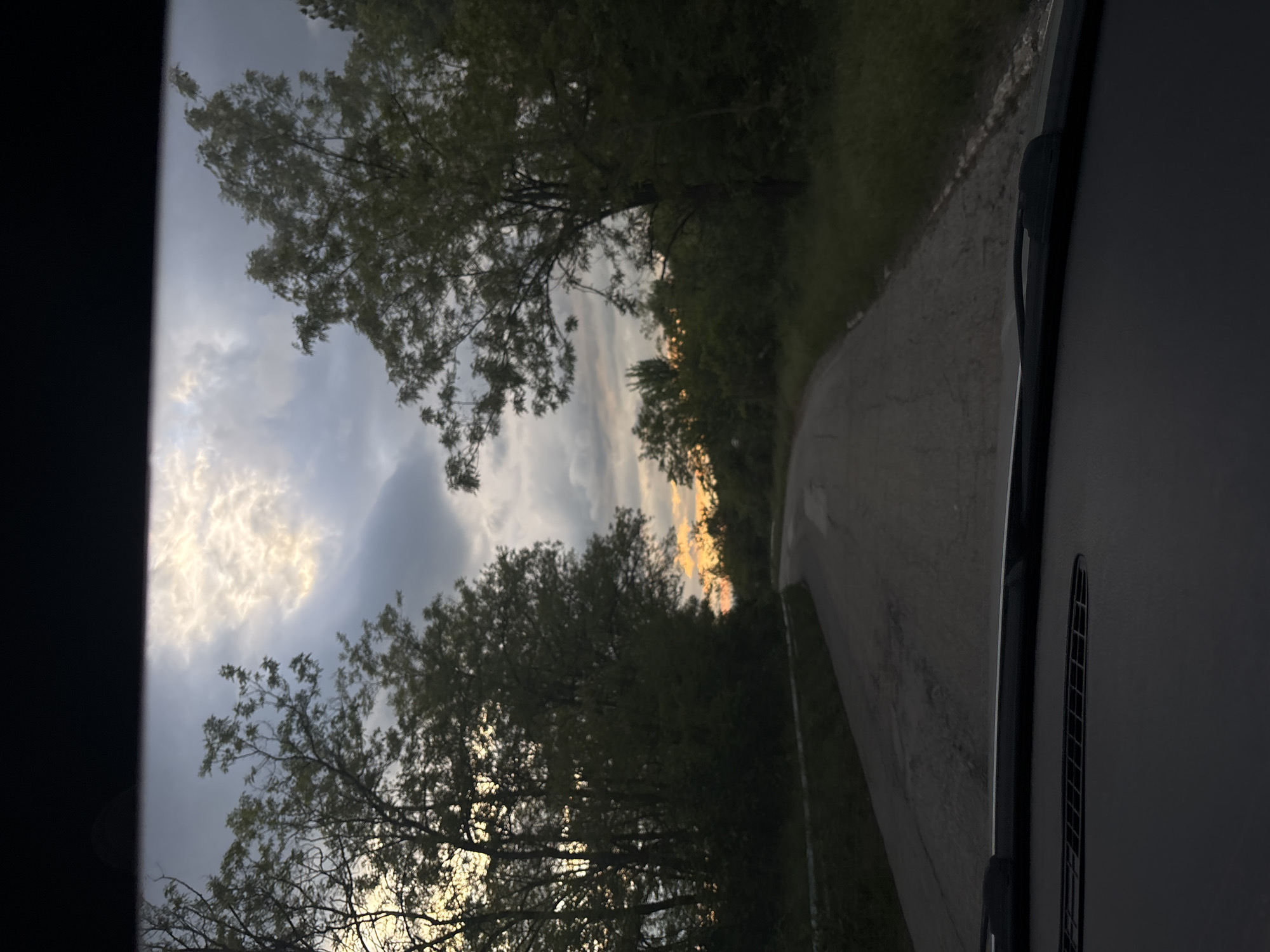 The image shows a view from inside a vehicle, likely a car or van, looking out onto a road lined with trees. The road curves gently to the right. The sky is cloudy with some patches of lighter, potentially sunset-lit areas visible between the trees. A windshield wiper and the vehicle's interior are visible on the right side of the frame.
The location is likely near Ognyanovo, Bulgaria, though specific landmarks or identifiers are not clearly visible in the image to pinpoint the exact spot.