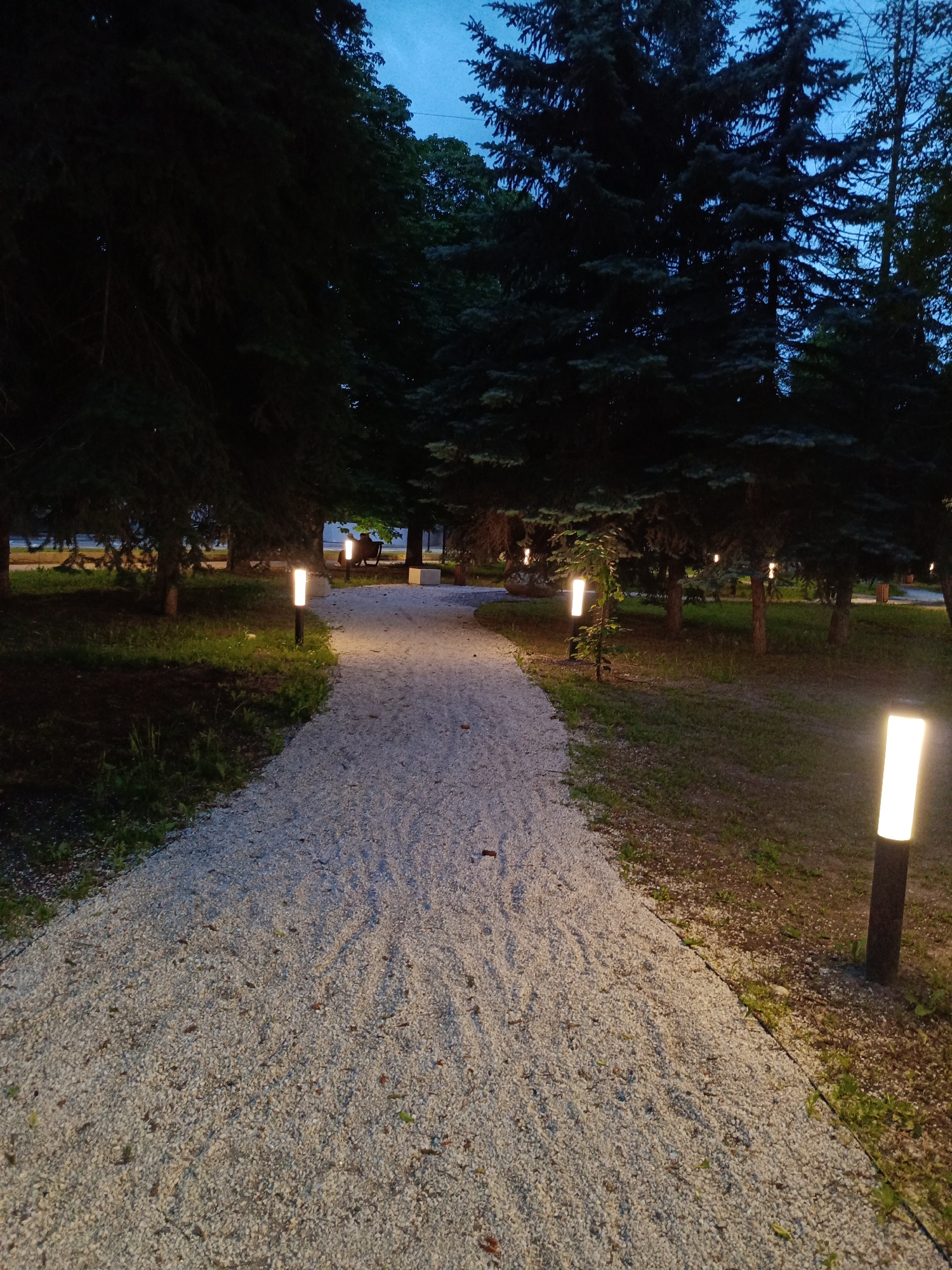 The image depicts a gravel pathway in a park at dusk. The pathway is illuminated by modern, cylindrical lamps placed intermittently along its edge. Tall, dark green coniferous trees form a dense canopy overhead, with glimpses of the twilight sky peeking through. The ground adjacent to the pathway is covered in grass and some fallen leaves. In the distance, two individuals are seated on a bench under the trees, with another lamp nearby. The scene appears to be a tranquil public space, possibly a park or a promenade in the city of Ust-Dzheguta, Russia.