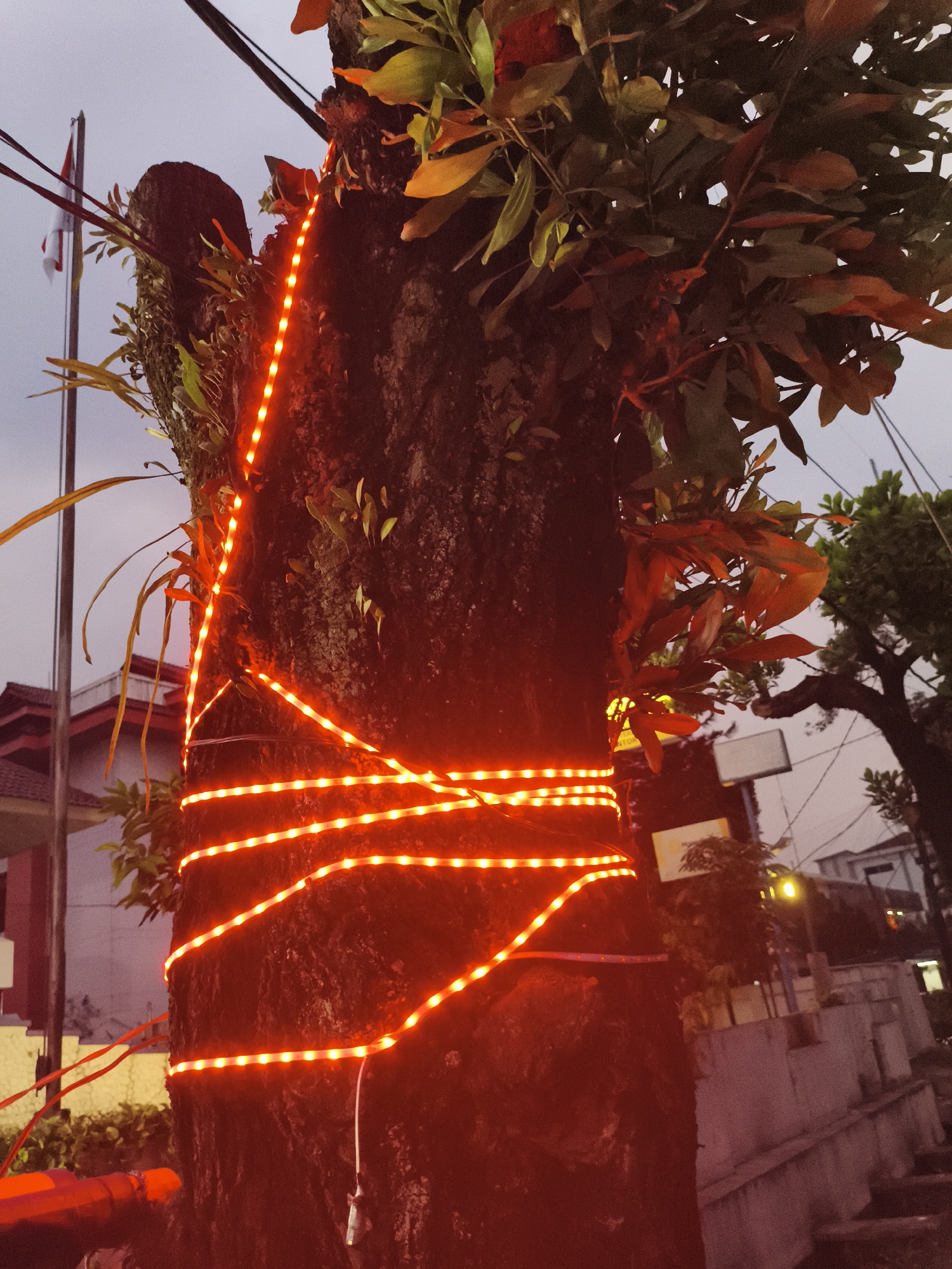 The image displays a large tree trunk adorned with multiple strands of bright red LED strip lights, creating a festive illumination. The lights are wrapped horizontally and diagonally around the dark, textured bark of the tree. Green foliage, including various leaves and epiphytes, grows on the tree, with some leaves catching the red glow.
The scene appears to be set outdoors in Cibinong, Indonesia, during twilight or evening hours, given the muted gray sky and the prominence of the artificial lights. In the background on the left, a flagpole is visible, flying a red and white flag that strongly resembles the Indonesian national flag. A building with a reddish roof and light-colored walls can be seen behind the flagpole.
Further to the right in the background, other trees and structures, possibly residential or commercial buildings, are visible, along with the soft yellow-orange glow of a distant streetlight. A small, white, irregularly shaped object hangs from one of the red light strips near the bottom right of the tree. The overall impression is one of decoration or celebration, potentially for a national event such as Indonesia's Independence Day, where the red and white colors are symbolic. There is no visible text in the image.