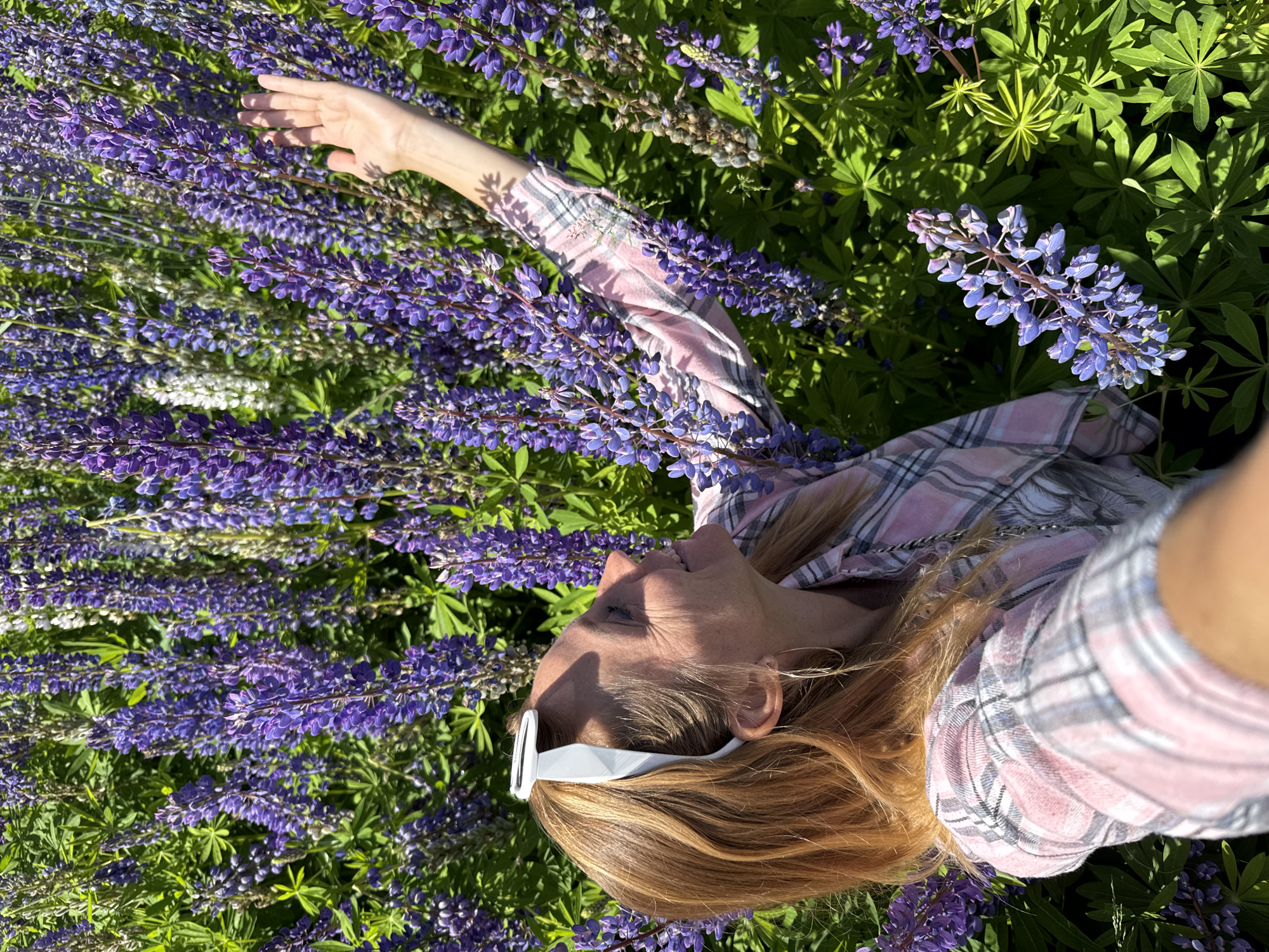 A woman with blonde hair is standing in a field of purple lupine flowers. She is wearing a pink and grey plaid shirt and white sunglasses on her head. She is reaching her right hand up towards the flowers, her palm facing outwards. The sun is shining, casting shadows on the flowers and the woman's face. The location is not specified in the prompt.
