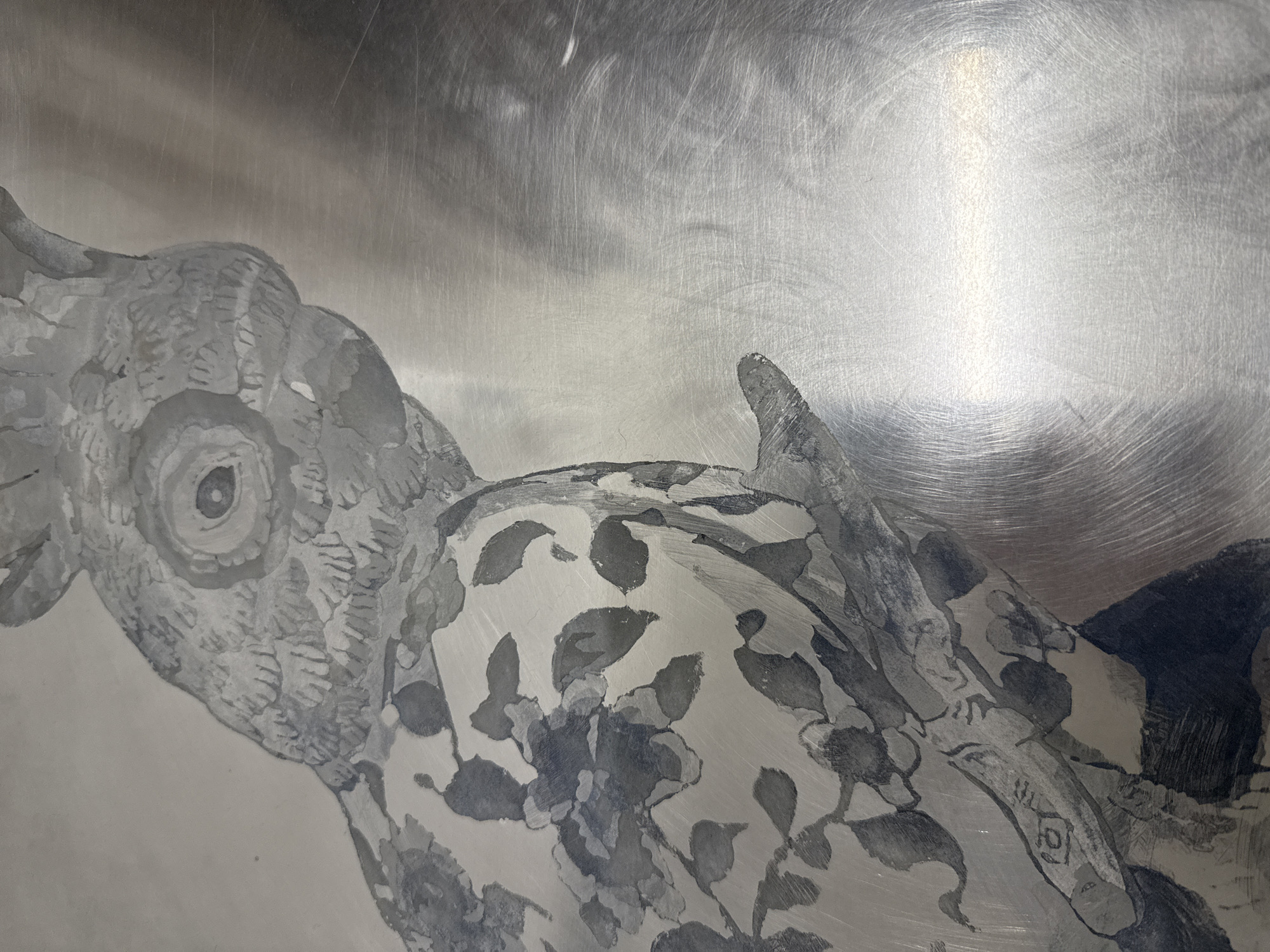 A close-up image depicts an illustration of what appears to be a rooster or hen-like bird, etched or drawn onto a metallic surface with a swirling texture. The bird's head is on the left, displaying an eye, feathers, and a beak. The body of the bird is adorned with a pattern of floral or leaf-like motifs. The background is the metallic surface itself, which is marked with circular and linear scratches. It is not possible to determine the exact location of this image in Madrid, Spain, based on the visual information provided.