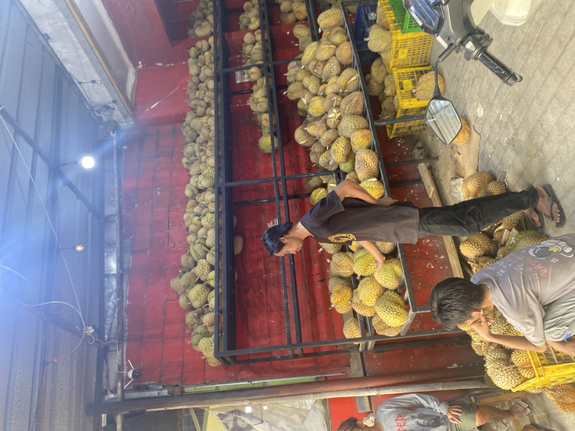 The image depicts an outdoor durian market stall located in Depok, Indonesia. The stall features numerous racks filled with durian fruits, with the red brick wall behind the racks indicating the market's structure. Several individuals are present, including two young men and a man standing on the right, presumably vendors or customers. The man in the center, wearing a dark t-shirt and black pants, is standing near a display of durians, possibly interacting with them. Another young man, wearing a gray t-shirt with a graphic print and gray and white striped pants, is sitting on the floor next to a yellow crate filled with durians. A third person, partially visible on the left, is wearing a gray long-sleeved shirt and green shorts, seated on a stool. A motorcycle is parked on the right side of the frame. The ground appears to be concrete or dirt, with discarded durian husks and debris scattered around. The scene is illuminated by natural daylight, with overhead lighting also visible. Security cameras are mounted on the ceiling structure, suggesting an emphasis on surveillance. The overall impression is of a busy, open-air market specializing in durian fruit.