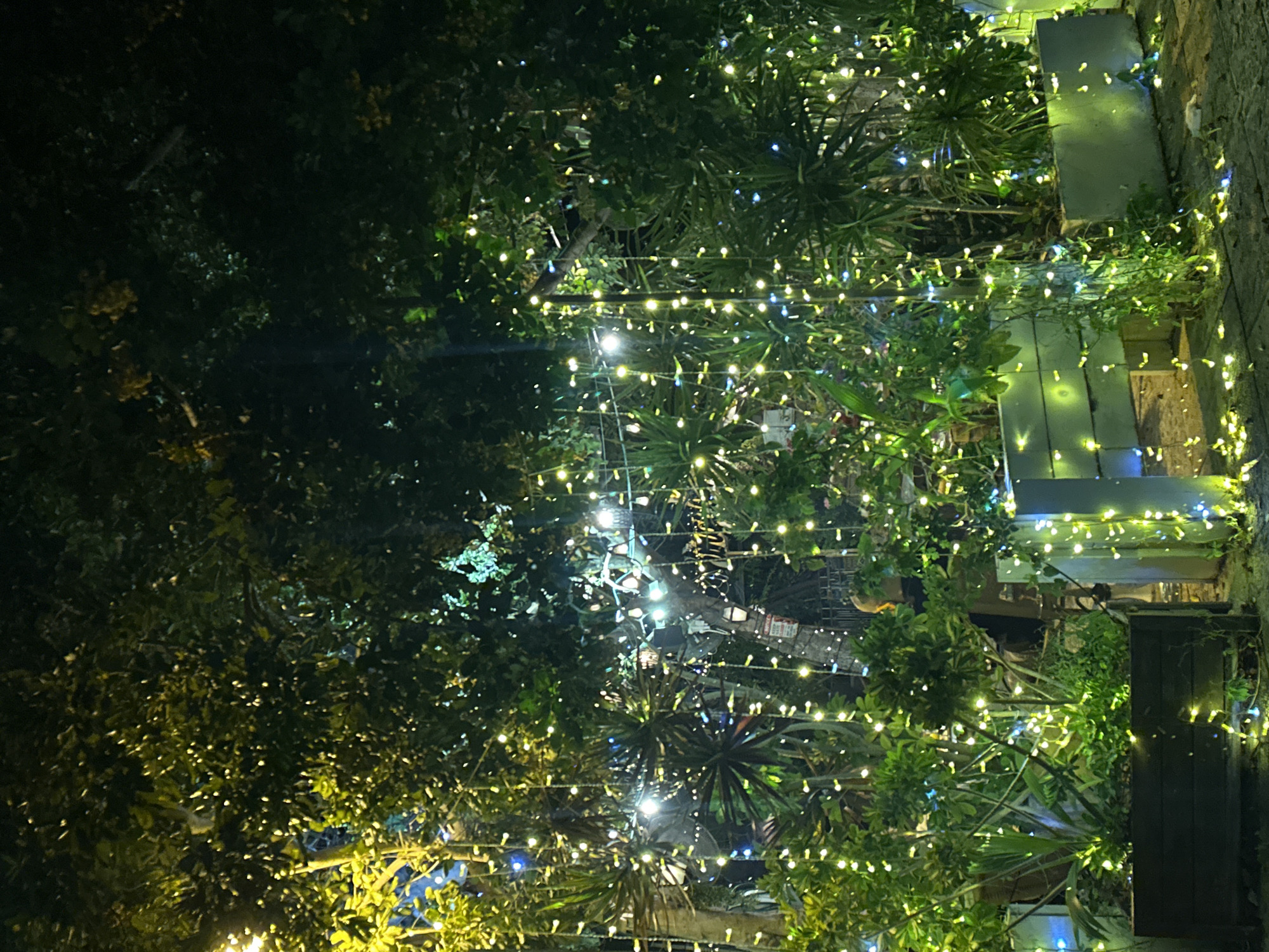 The media file captures a nighttime scene in Haifa, Israel, where lush green foliage is illuminated by strings of festive lights. The lights, predominantly warm yellow with occasional blue accents, are draped across the trees and plants, creating a magical and inviting atmosphere. The camera is positioned at a low angle, looking up into the canopy of leaves and the intricate network of lights.
The setting appears to be an outdoor area, possibly a garden or a patio, with hints of architectural elements like planters and walls visible in the background. The time of day is clearly night, evidenced by the darkness of the unlit areas and the prominence of the artificial lights. The weather is not discernible from the image.
While no people are explicitly visible, the presence of the decorative lights suggests a celebratory or social event, or simply an effort to enhance the ambiance of the space. The overall mood evoked is one of warmth, festivity, and tranquility. The dense greenery provides a natural contrast to the man-made illumination, and the interplay of light and shadow adds depth and texture to the scene. There are no discernible text elements within the visible area of the image.