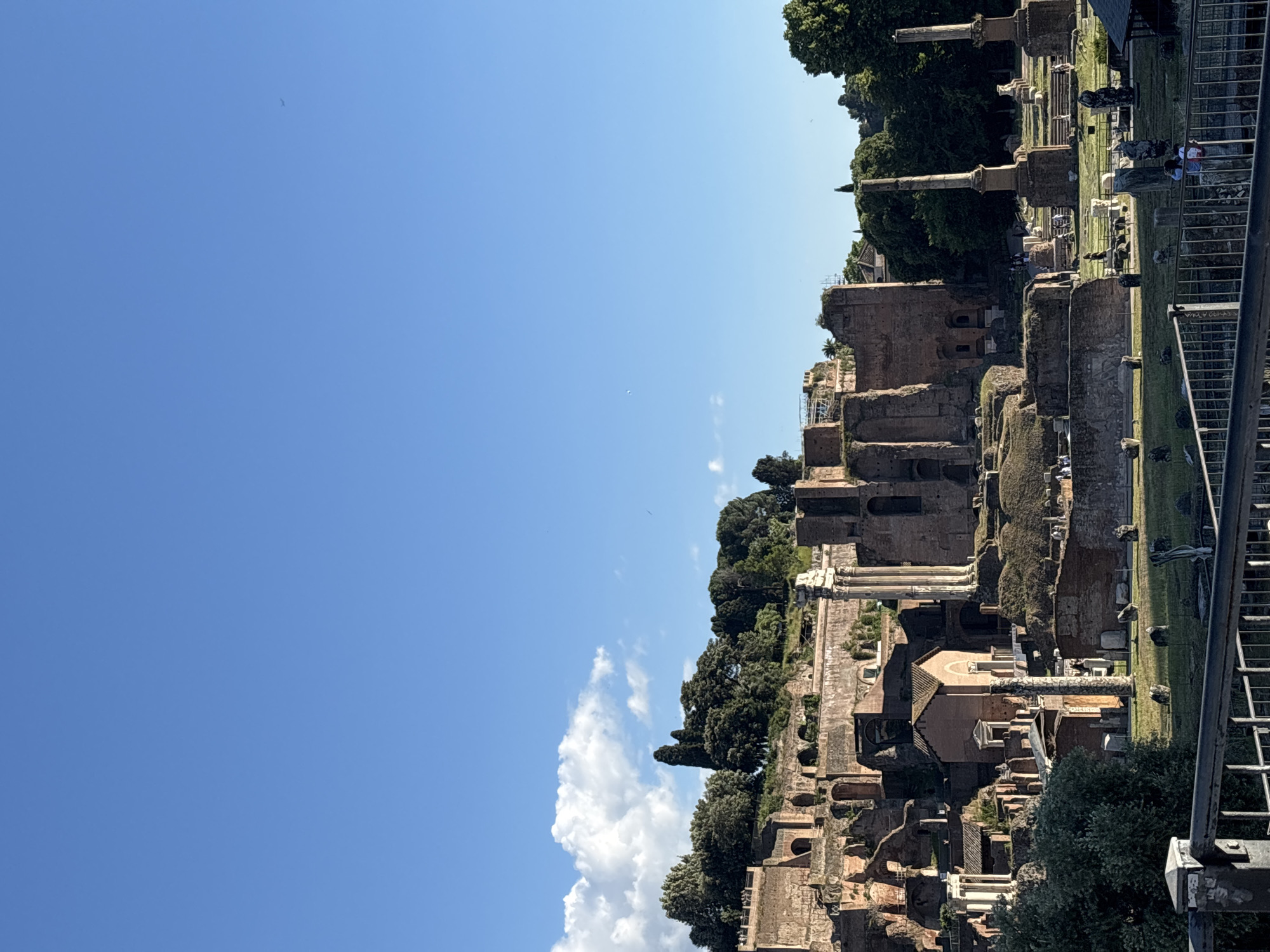 The image depicts the Roman Forum in Rome, Italy. The ruins of ancient buildings and structures are visible, including columns, walls, and arches, amidst greenery and trees. The sky is clear blue with some clouds. People are present, appearing as small figures amongst the ruins. A railing is visible in the foreground.