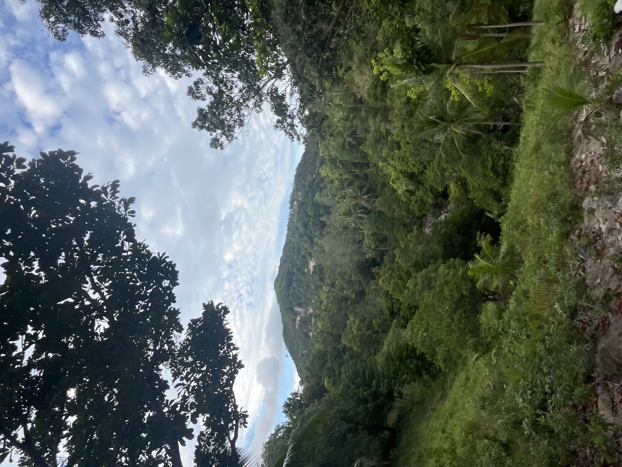 This image depicts a lush, verdant hillside in the subdistrict of Koh Phangan, Thailand. A dense forest of various trees, including palm trees, covers the lower slopes and extends towards a central mountain. The mountain itself is also heavily vegetated, with some evidence of clearing or exposed earth visible on its face. The sky above is partly cloudy, with white clouds scattered across a blue expanse. The foreground shows a steep, grassy incline with scattered rocks and foliage, suggesting a natural, undeveloped landscape. There are no people or man-made structures prominently featured in the scene.