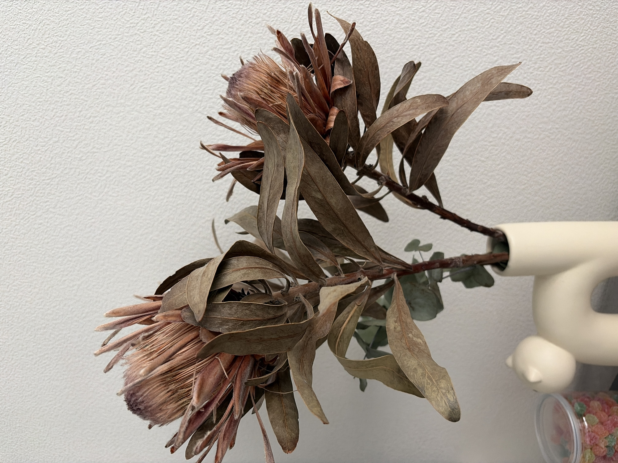 A close-up shot reveals two dried protea flowers, their petals a faded pink and brown, nestled among brittle, dry leaves in shades of brown and tan. A few green eucalyptus leaves are also visible. The flowers and leaves are arranged in a white, abstract-shaped vase. The background is a textured white wall. To the right of the vase, a white figurine of a cat is visible, along with a clear plastic container filled with colorful candies. The location is Yanino-1, Russia.